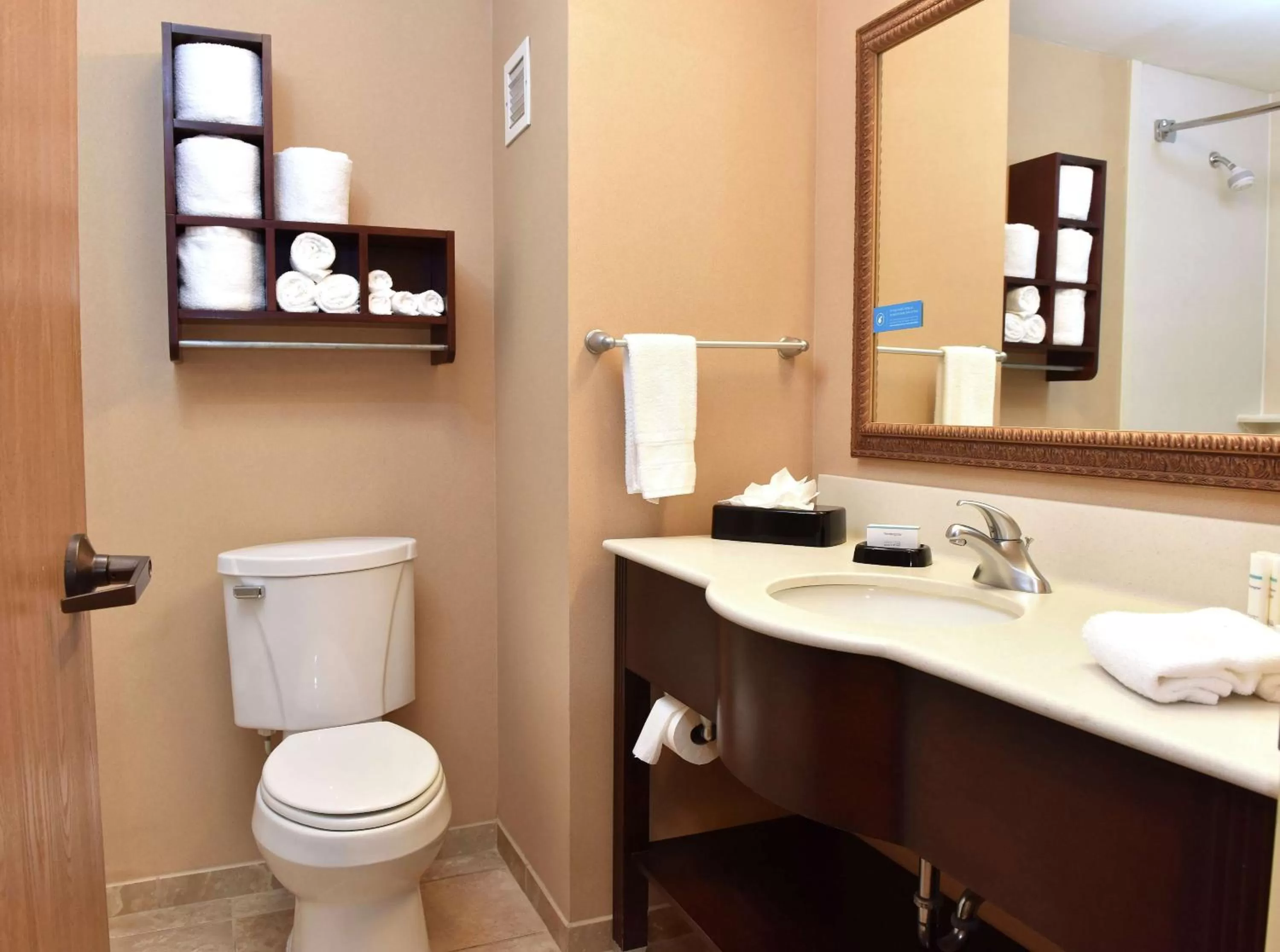 Bathroom in Hampton Inn Ruston