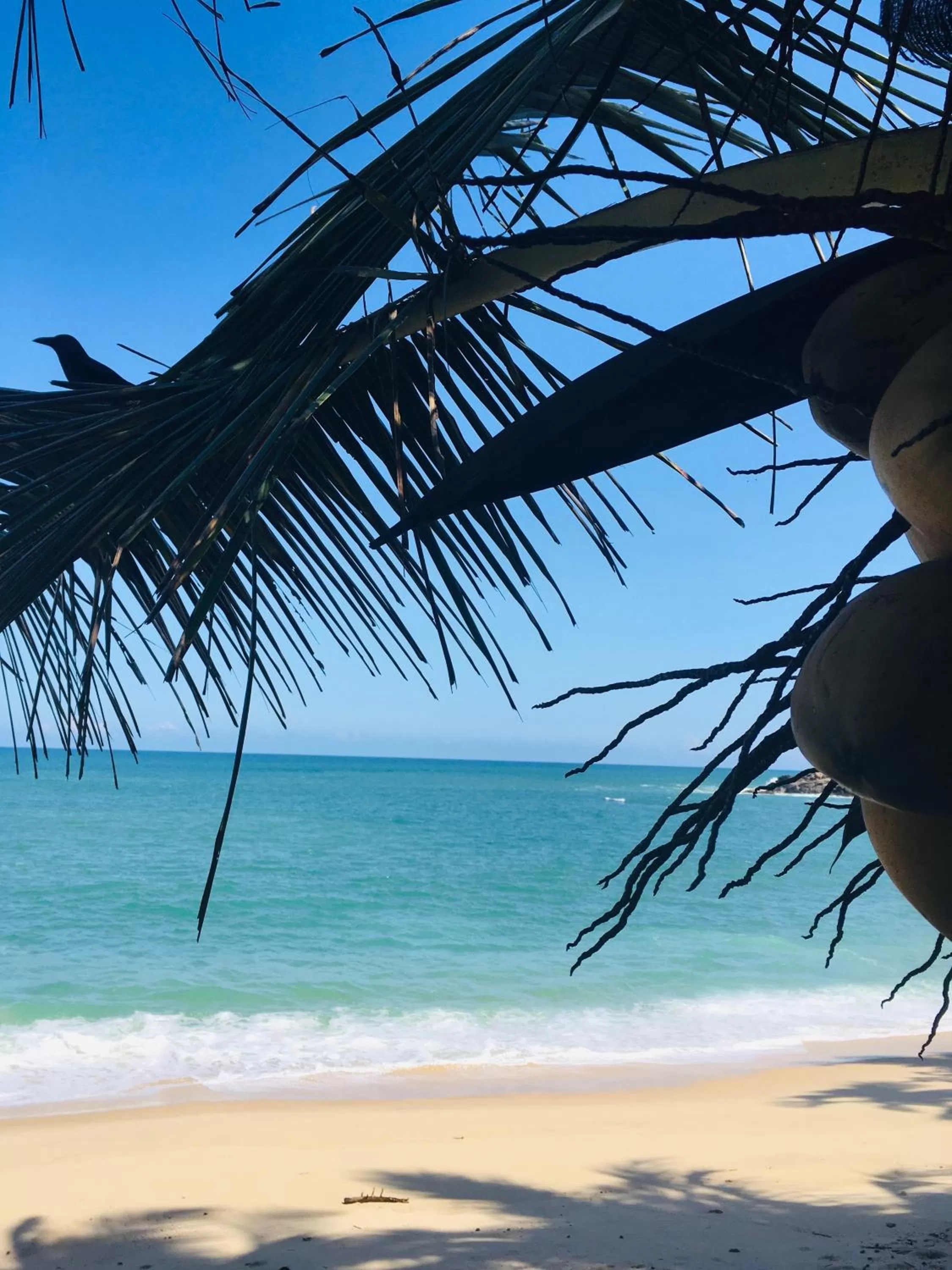 Beach in Manel Villa
