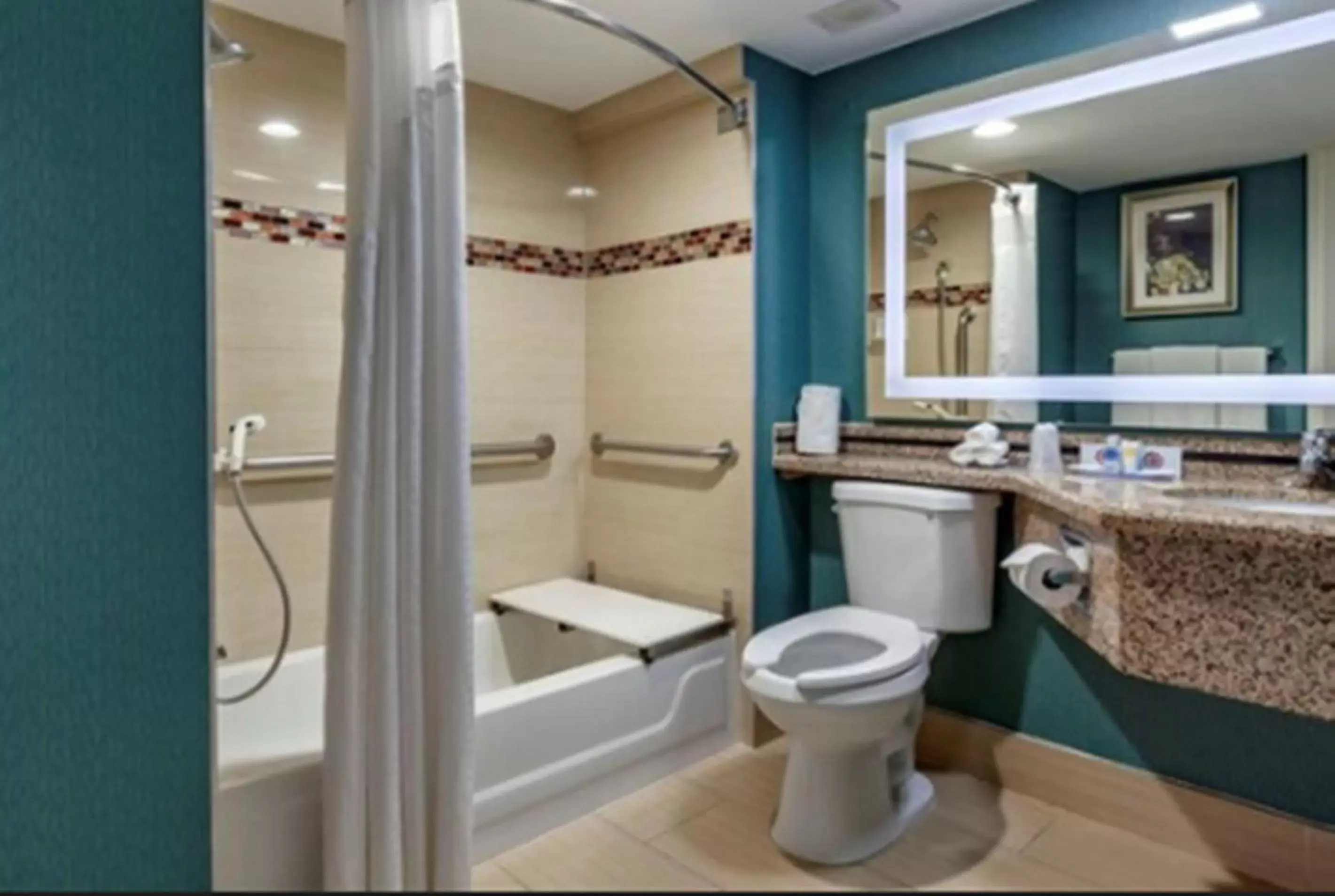 Toilet, Bathroom in Comfort Inn & Suites Houston I-10 West Energy Corridor