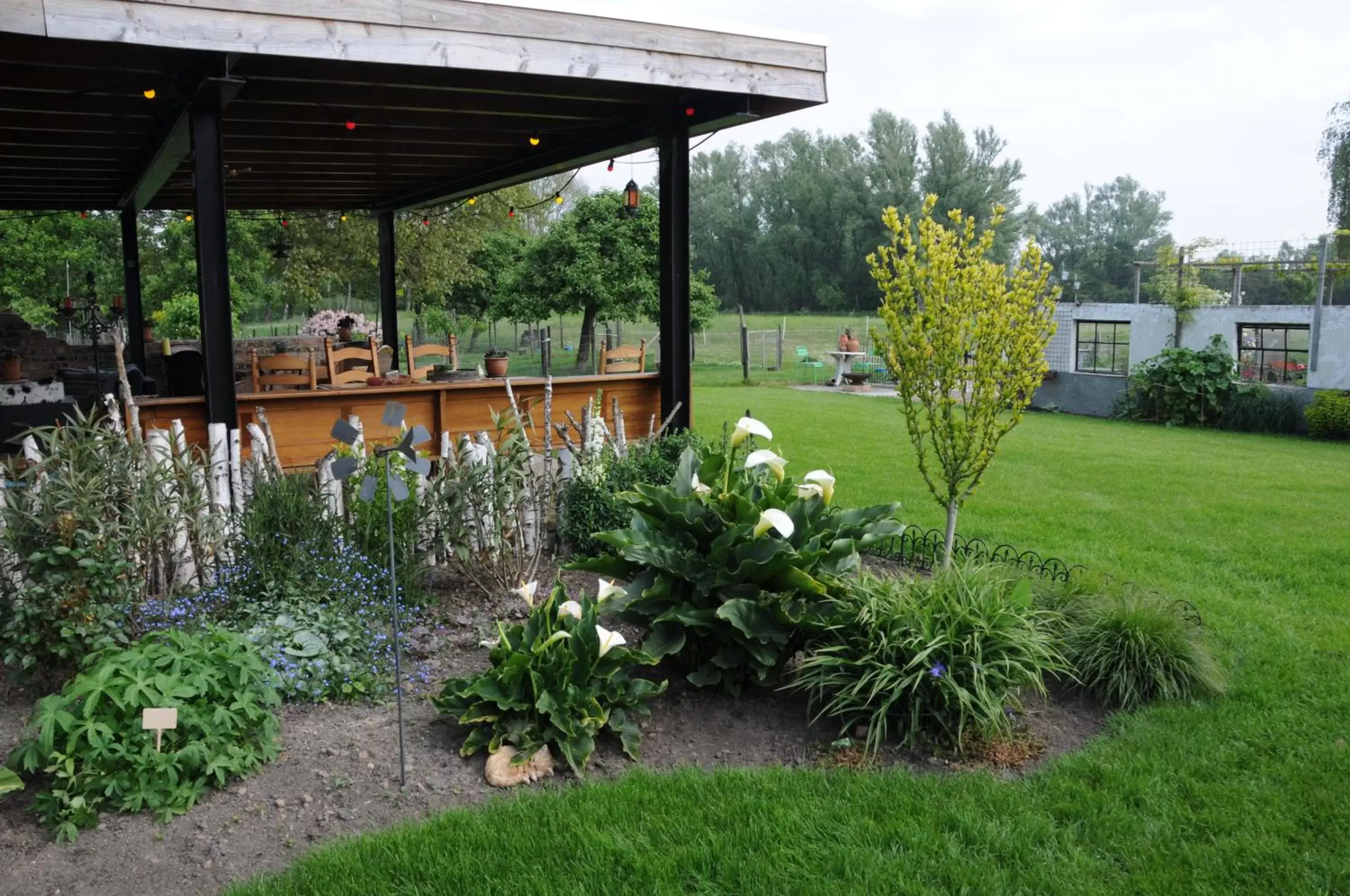 Garden in Casa Tranquila