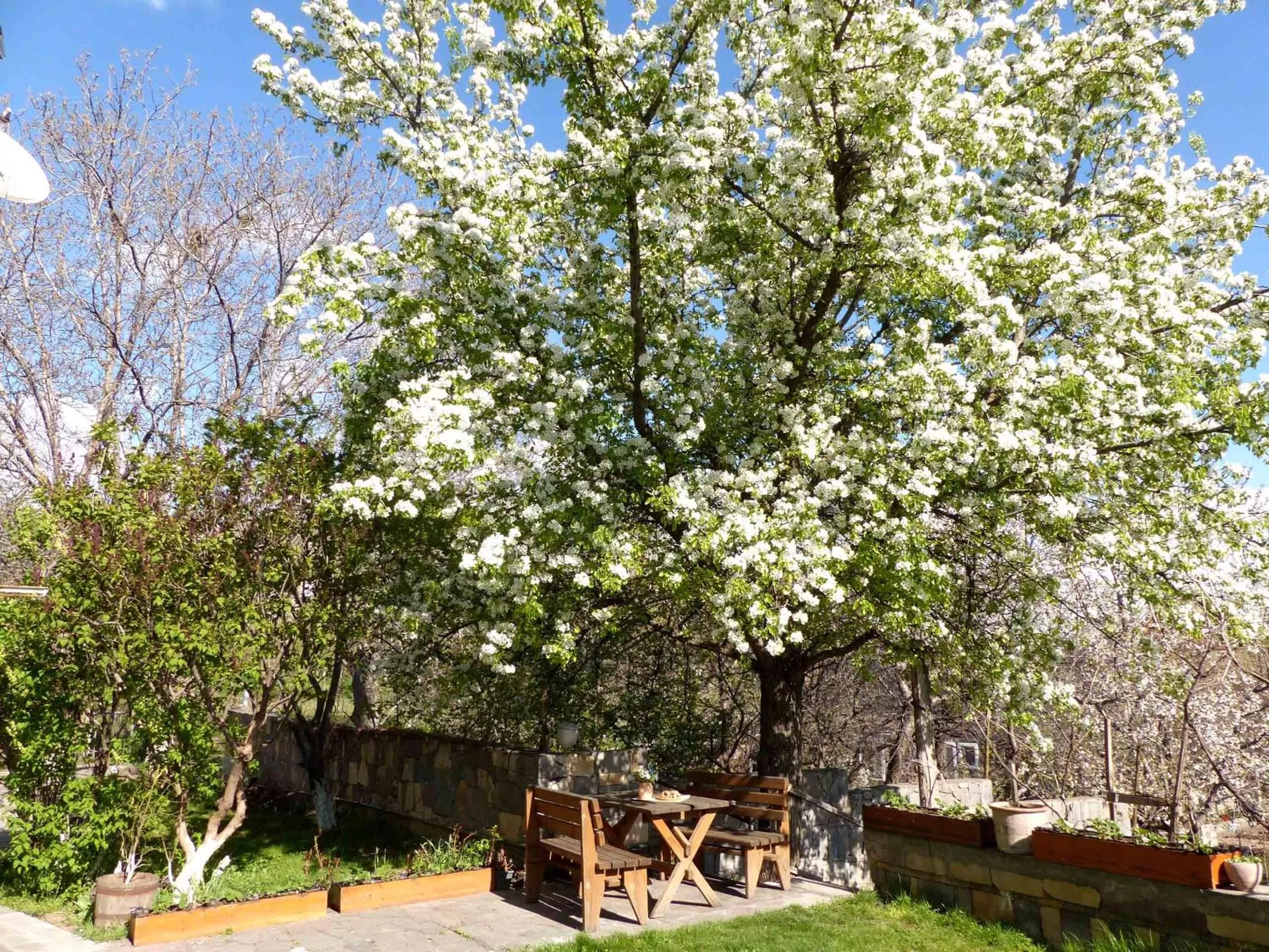 Garden in Green Stone Boutique Hotel