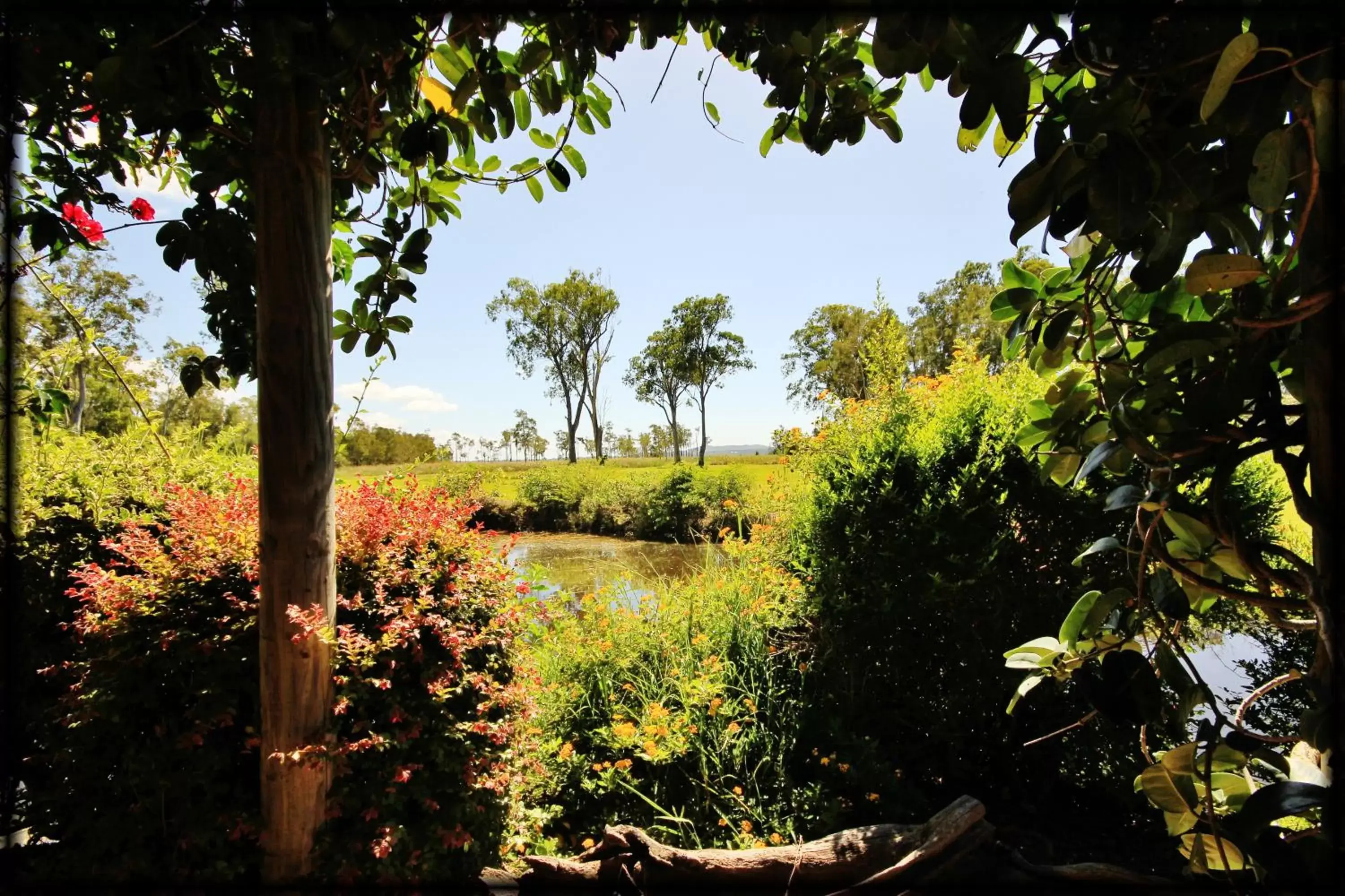 Garden in Lake Weyba Cottages Noosa