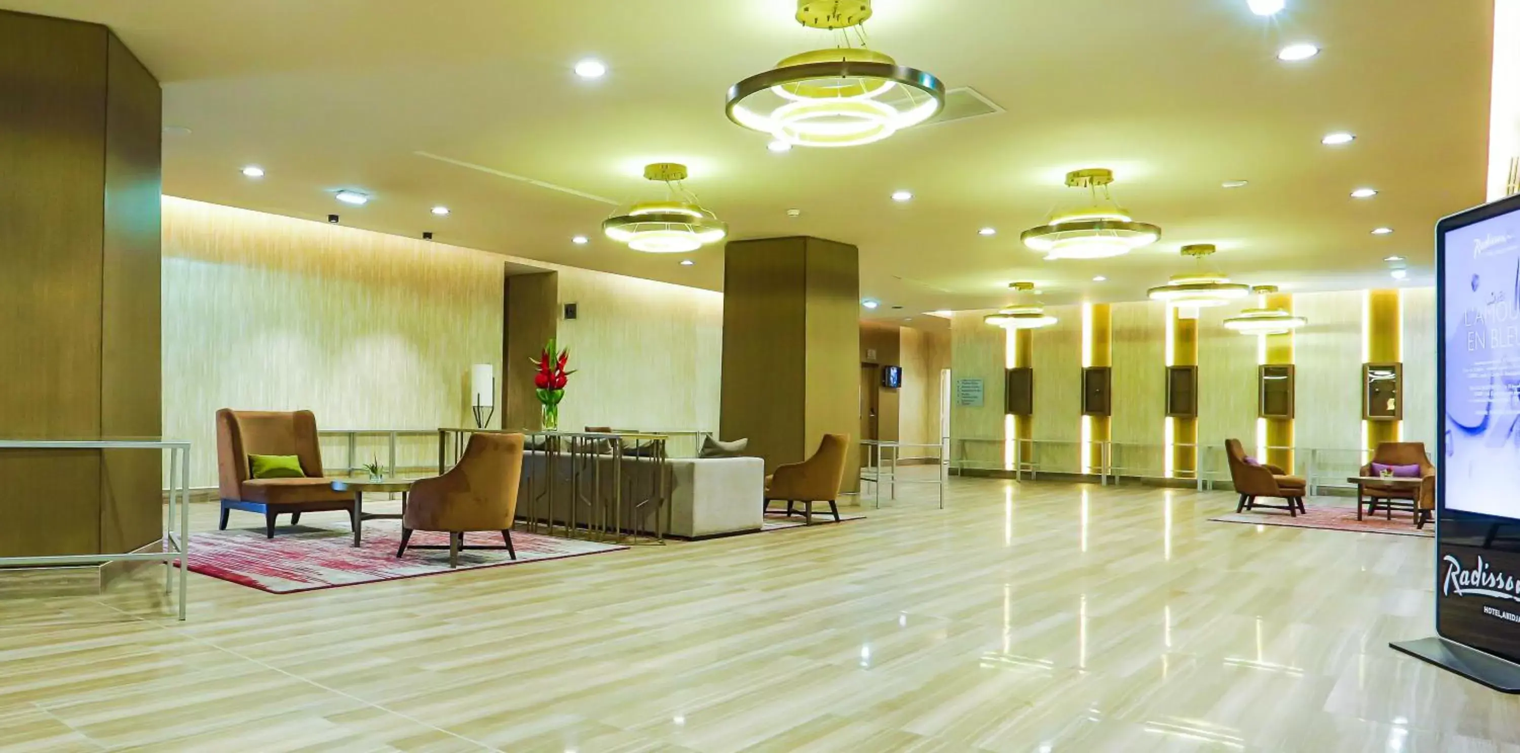 Banquet/Function facilities, Lobby/Reception in Radisson Blu Hotel, Abidjan Airport