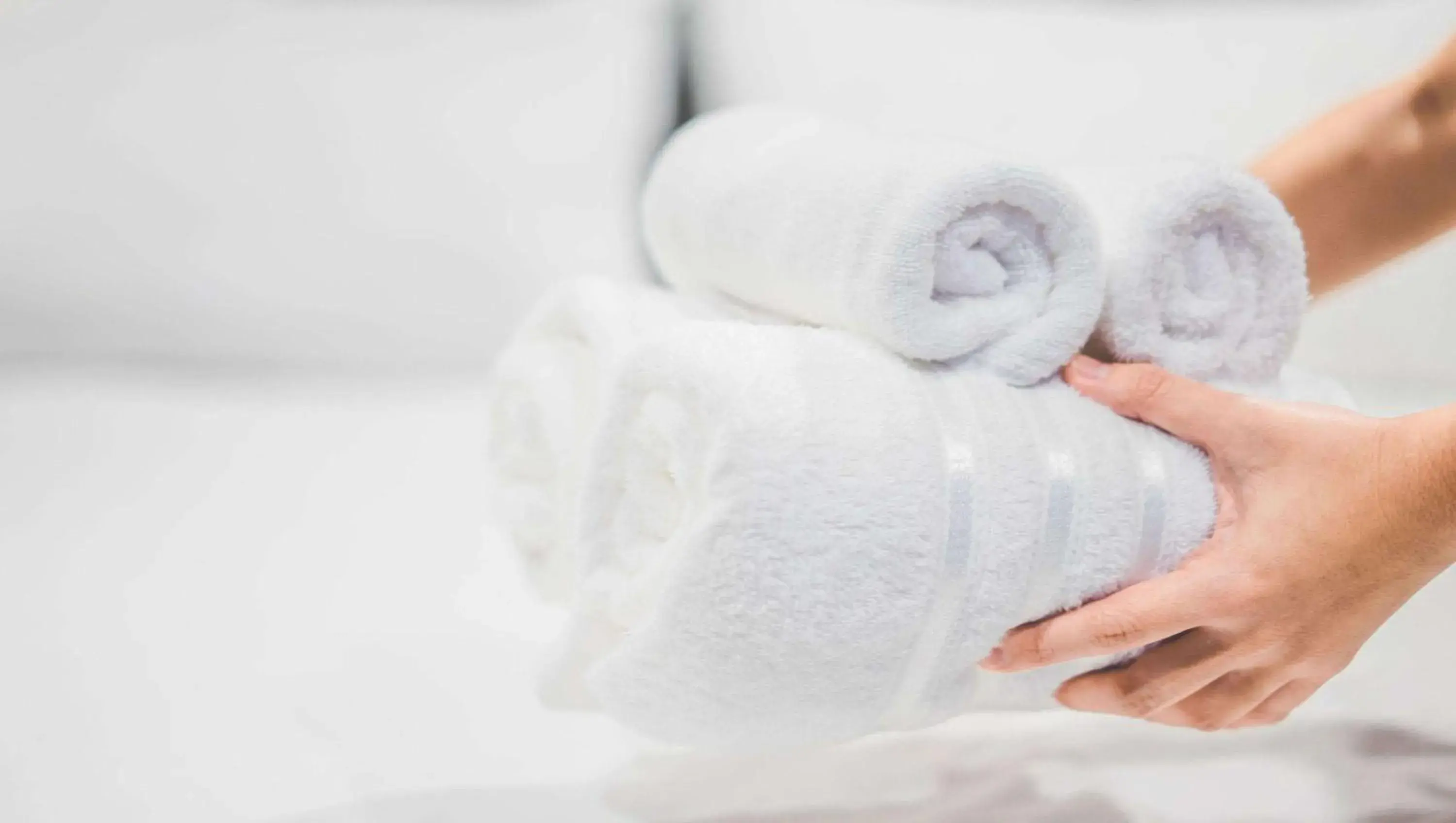 Photo of the whole room in Magnuson Hotel Mountain View Photo of the whole room in Magnuson Hotel Mountain View