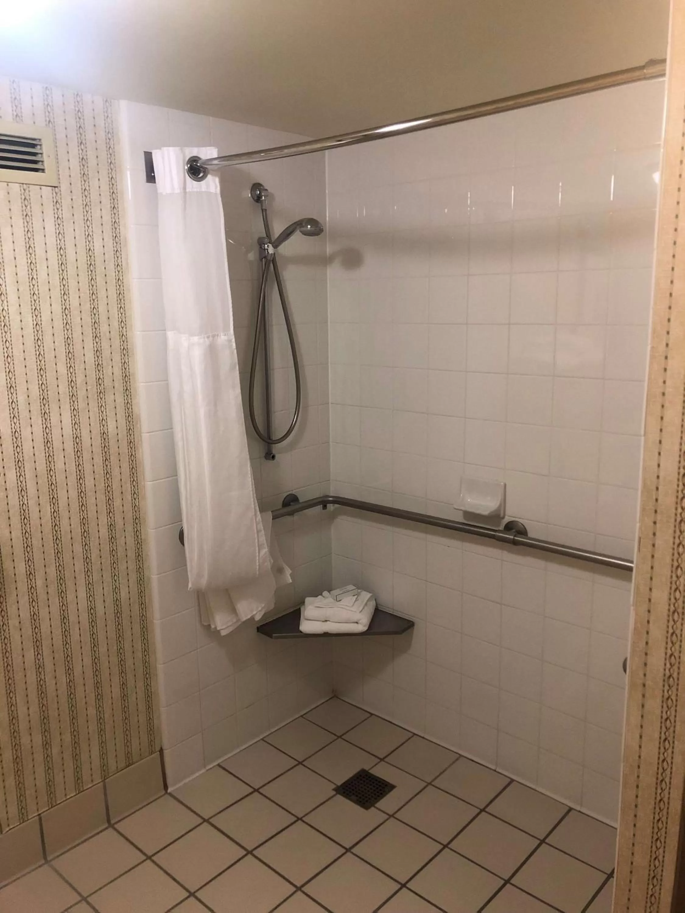 Bathroom in Hilton Garden Inn Addison