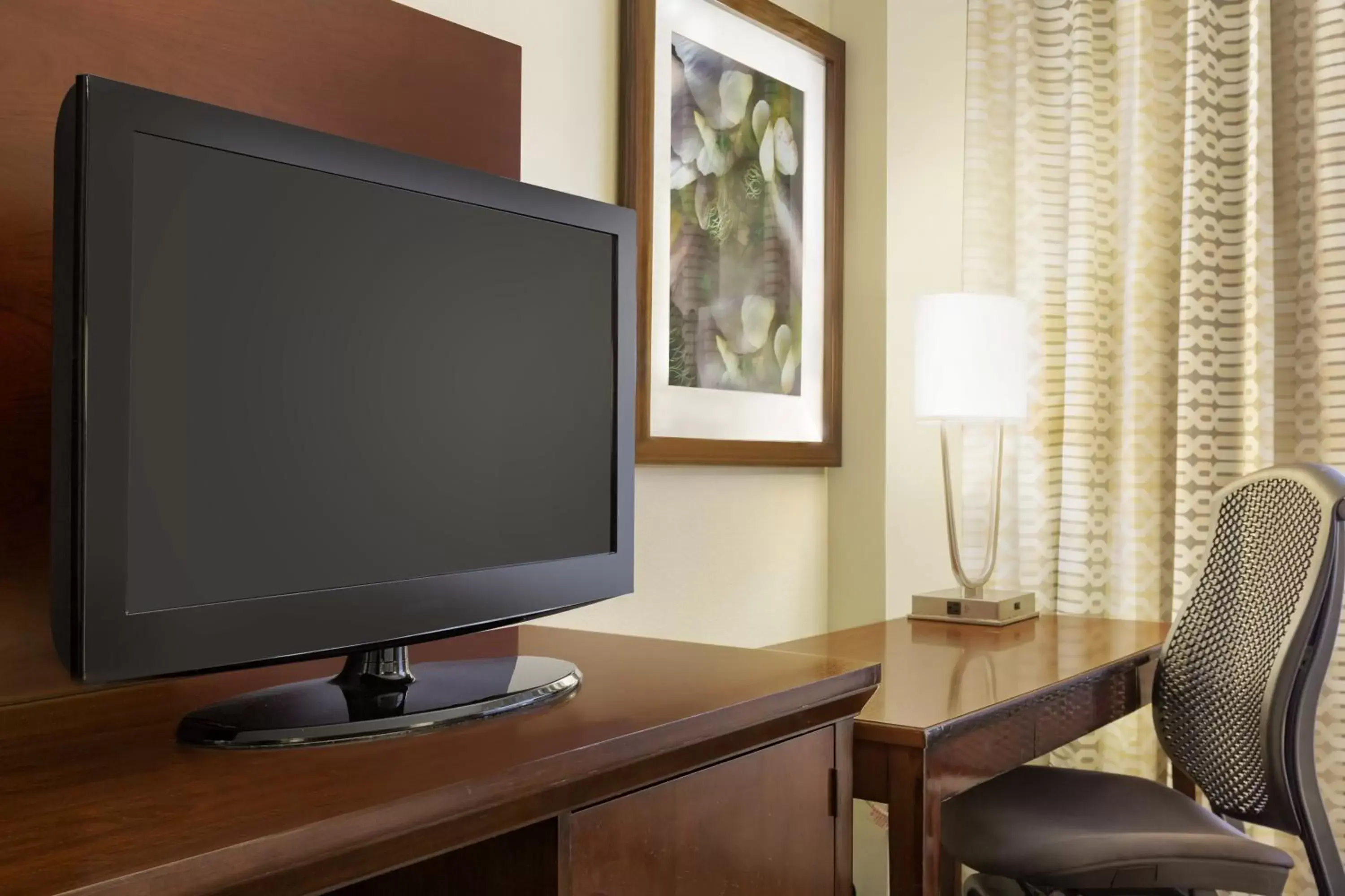 TV and multimedia, TV/Entertainment Center in DoubleTree by Hilton Houston Medical Center Hotel & Suites
