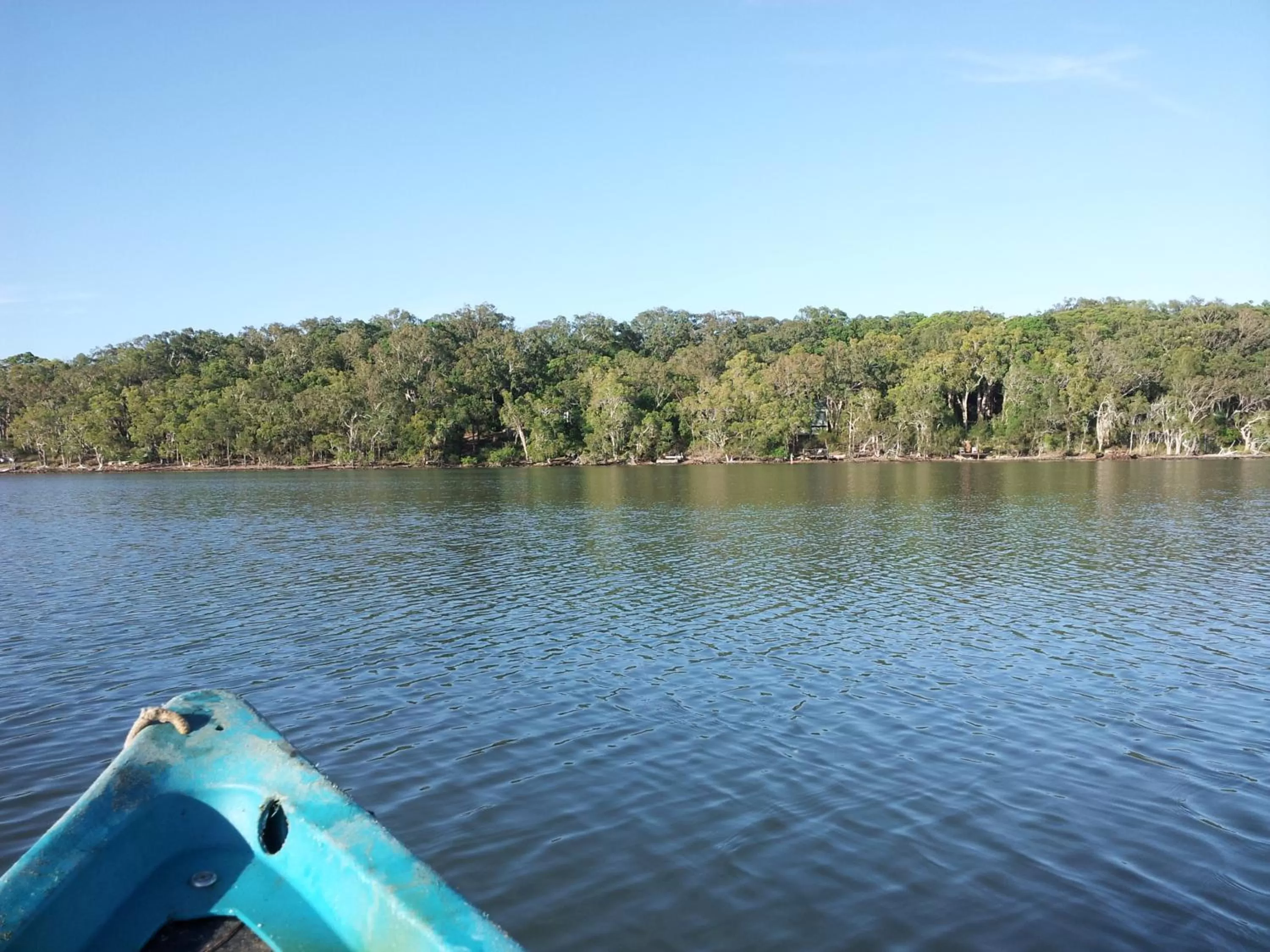 Natural landscape in Eumarella Shores Noosa Lake Retreat