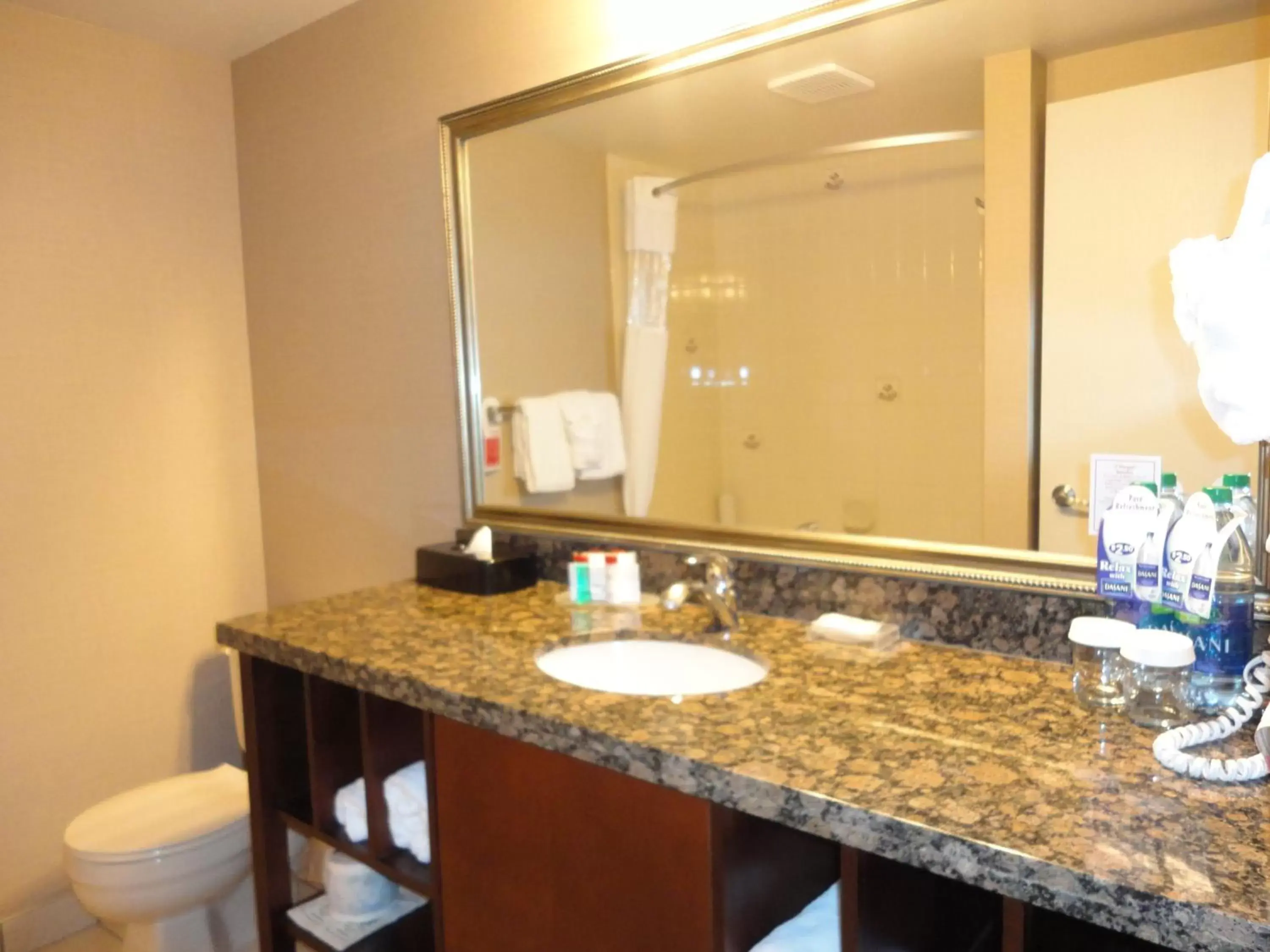 Bathroom in Ramada by Wyndham Kelowna Hotel & Conference Center