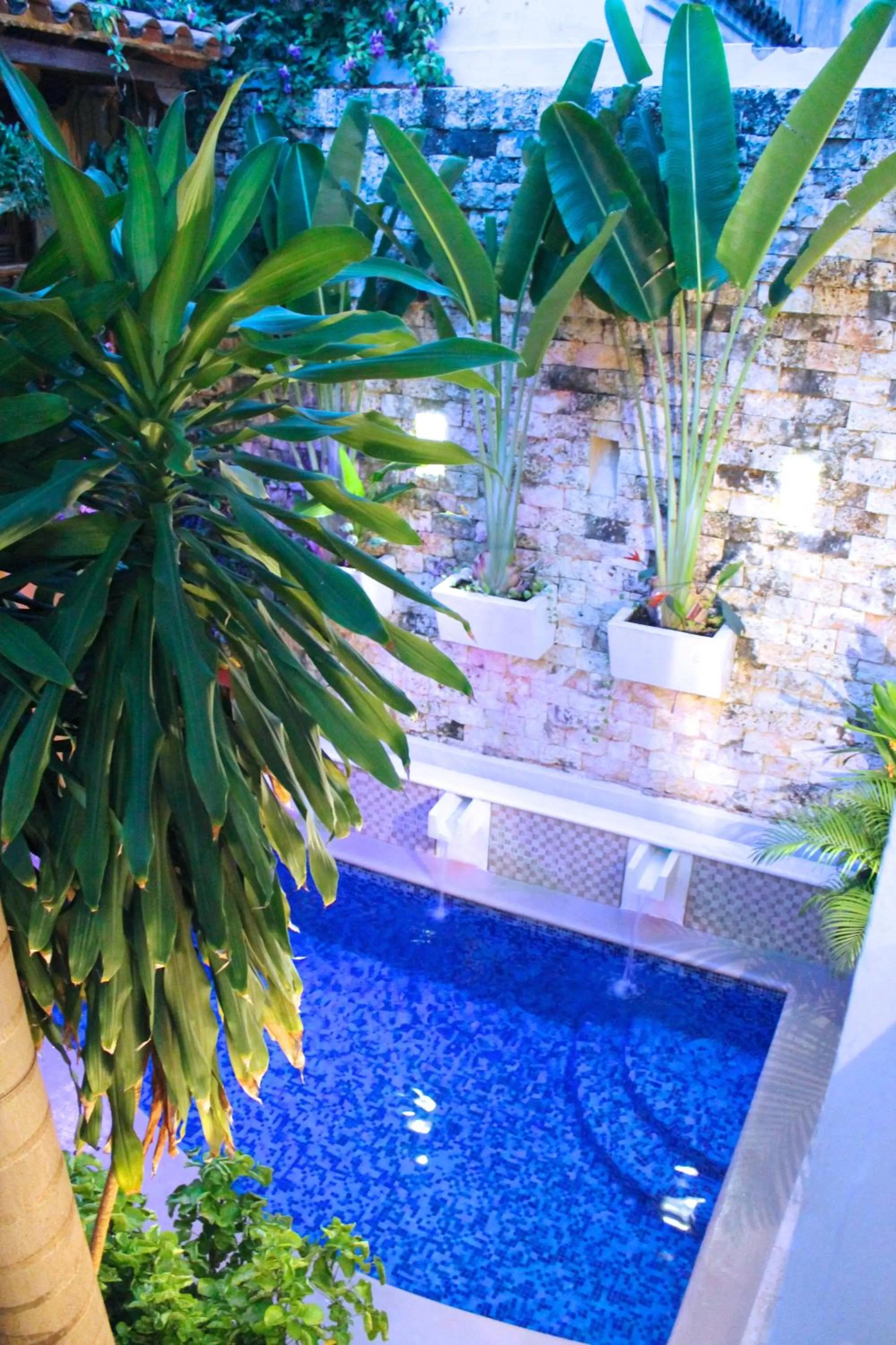 Patio, Swimming Pool in Hotel Casa Gloria Boutique