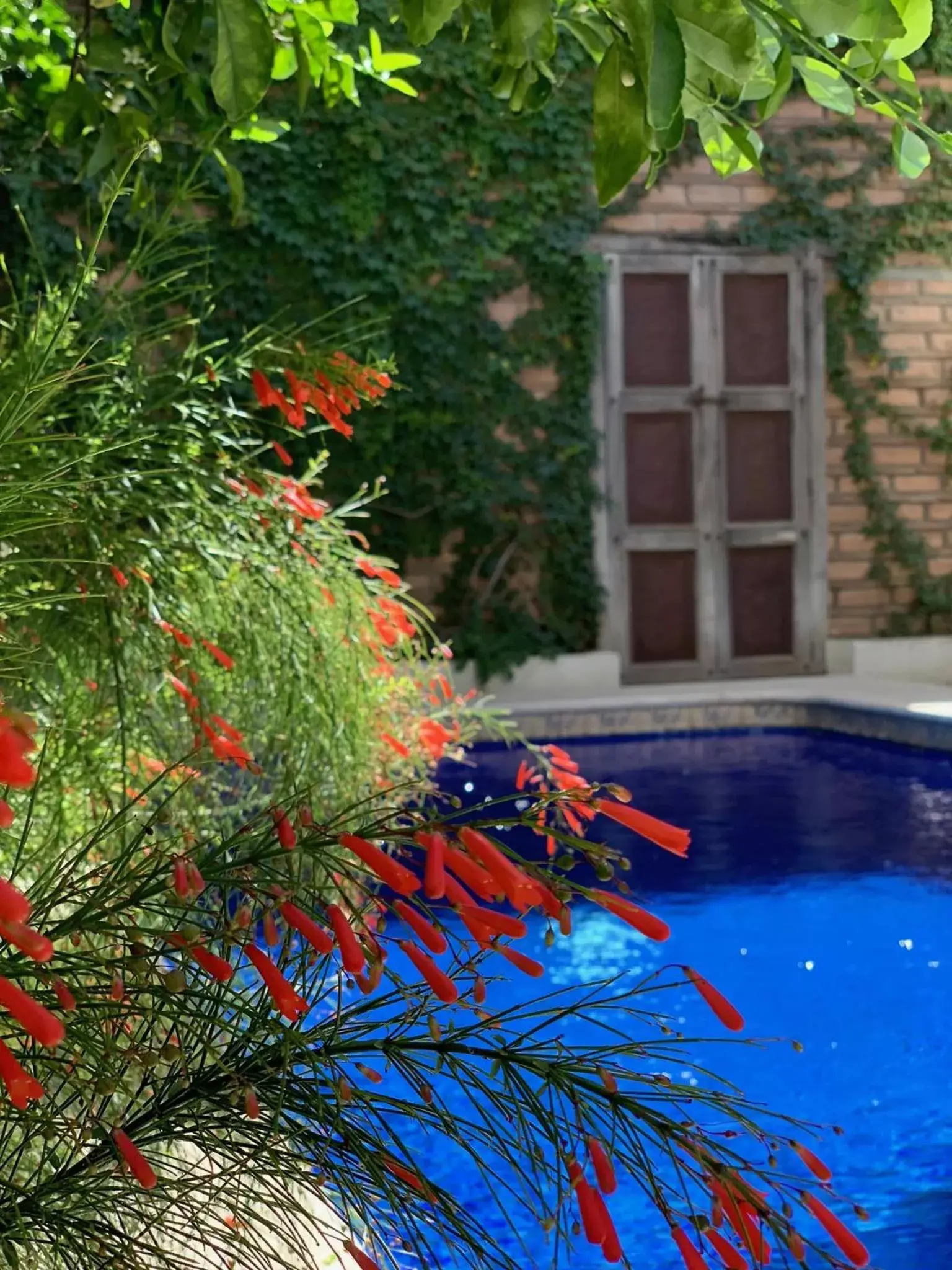 Swimming Pool in Los Milagros Hotel