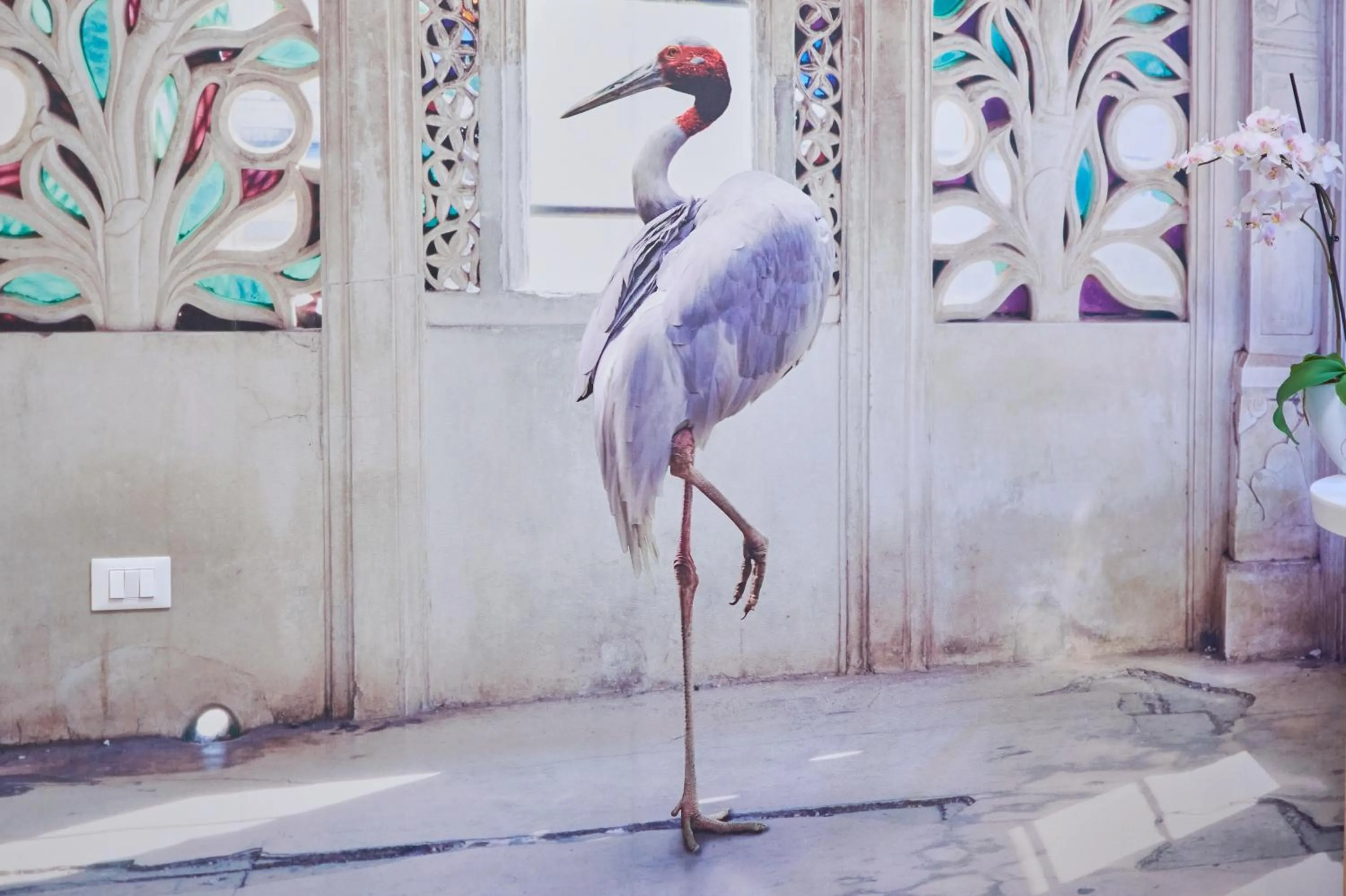 Lobby or reception in Artistic Charming House