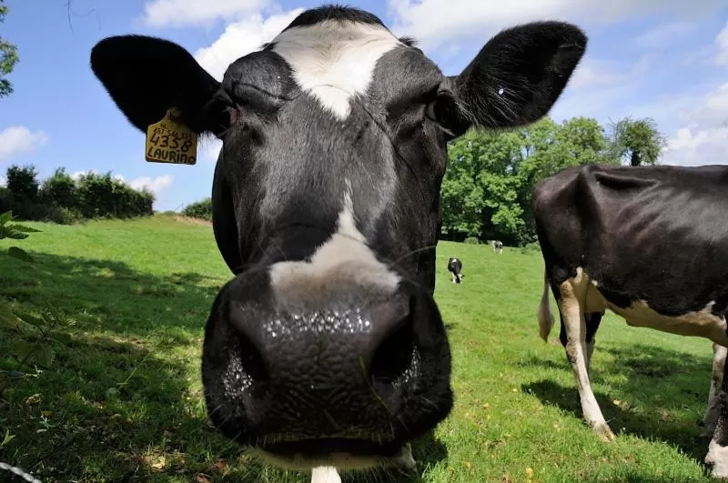 Day in Best Western Hotel Slenaken