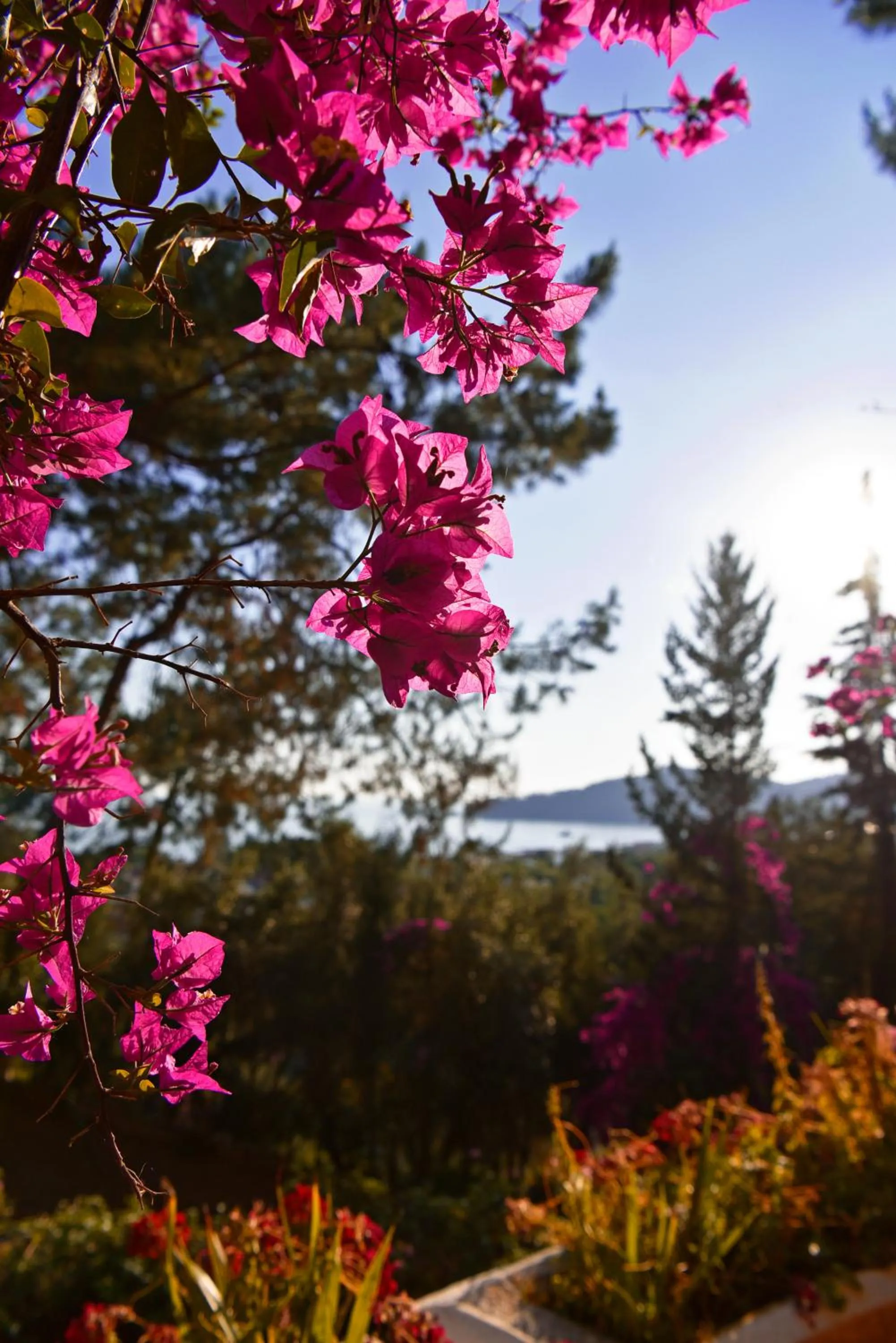 Spring in Symbola Oludeniz Beach Hotel