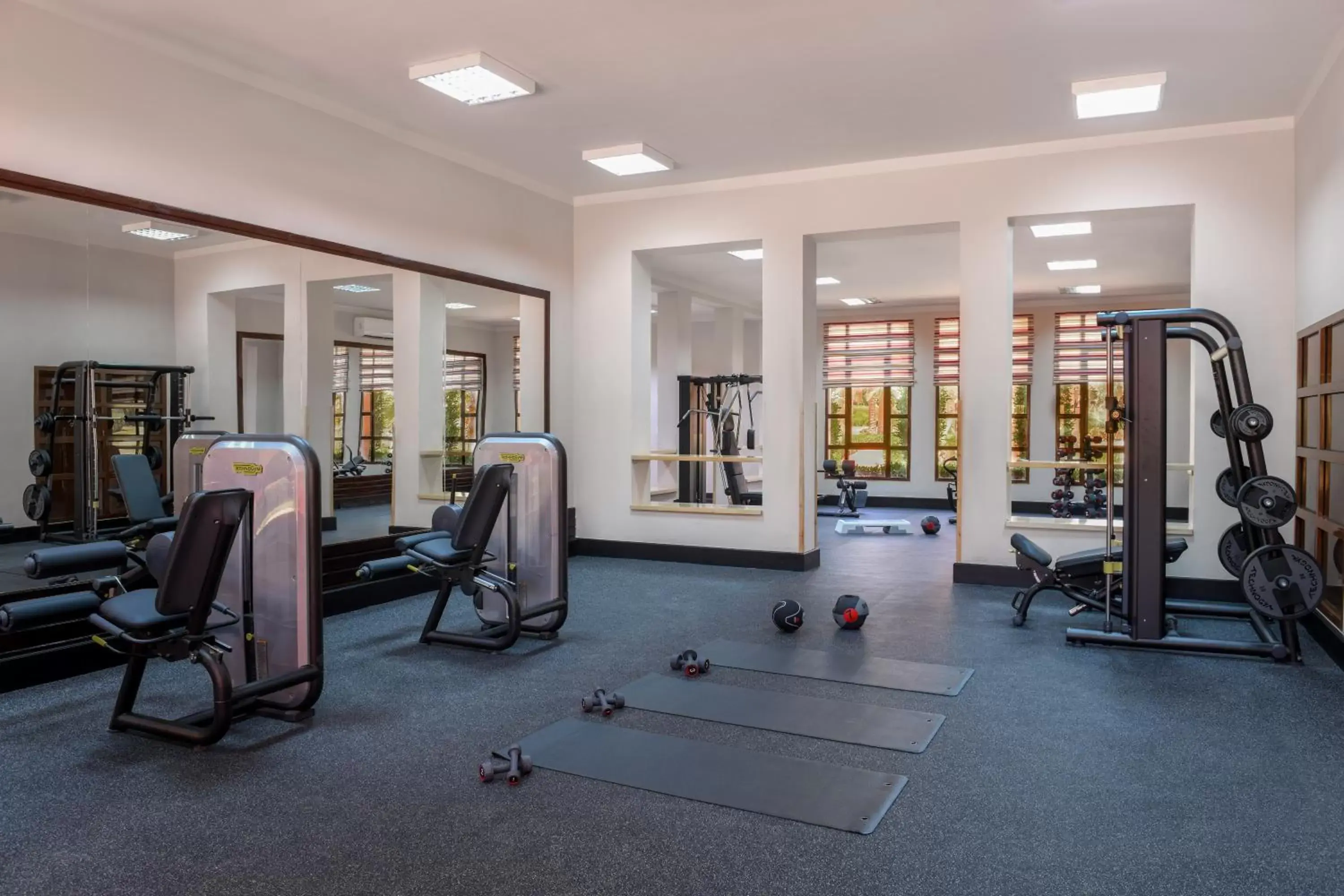 Activities, Fitness Center/Facilities in Magic World Sharm - Club by Jaz