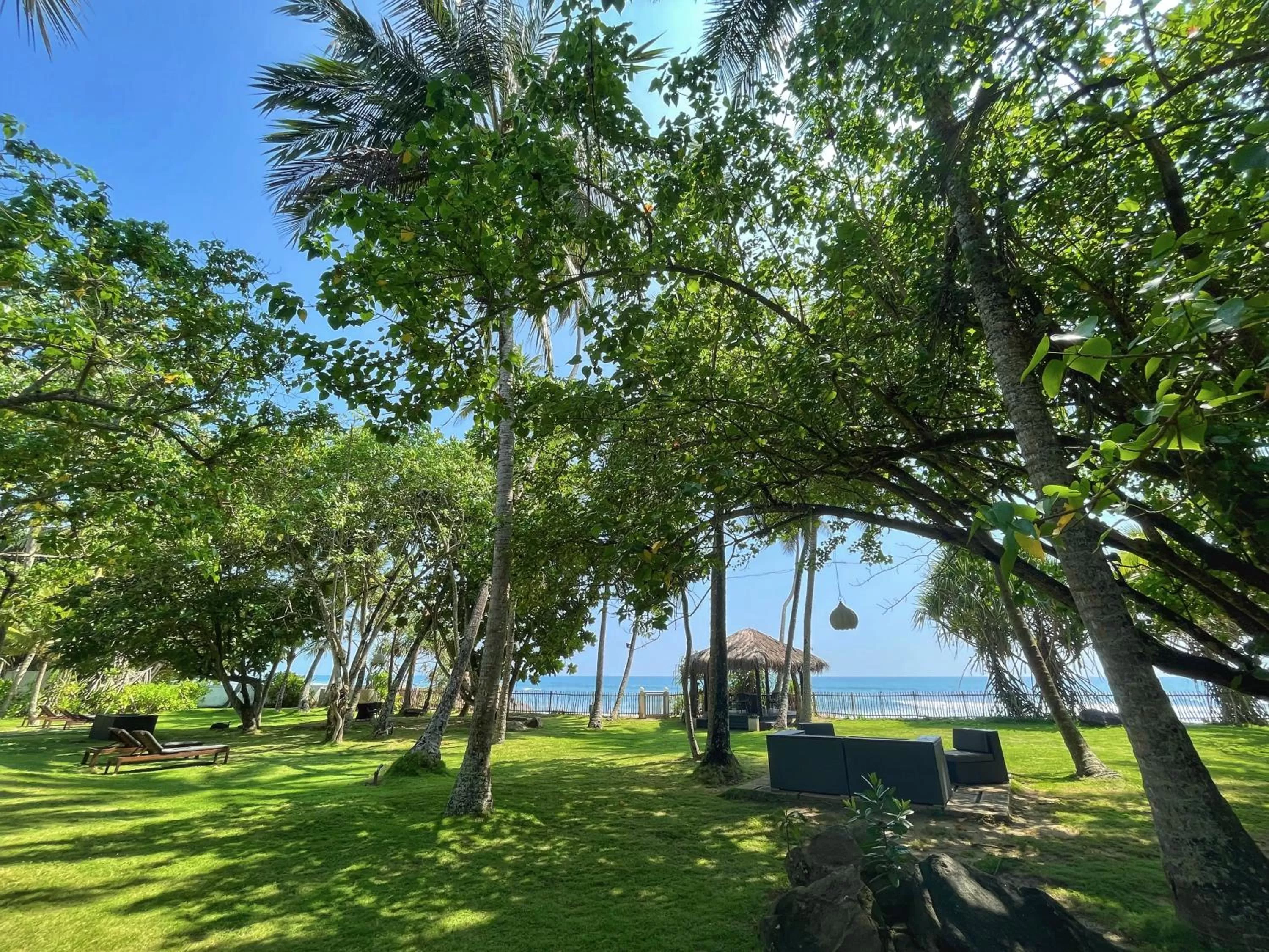 Garden in Satin Doll