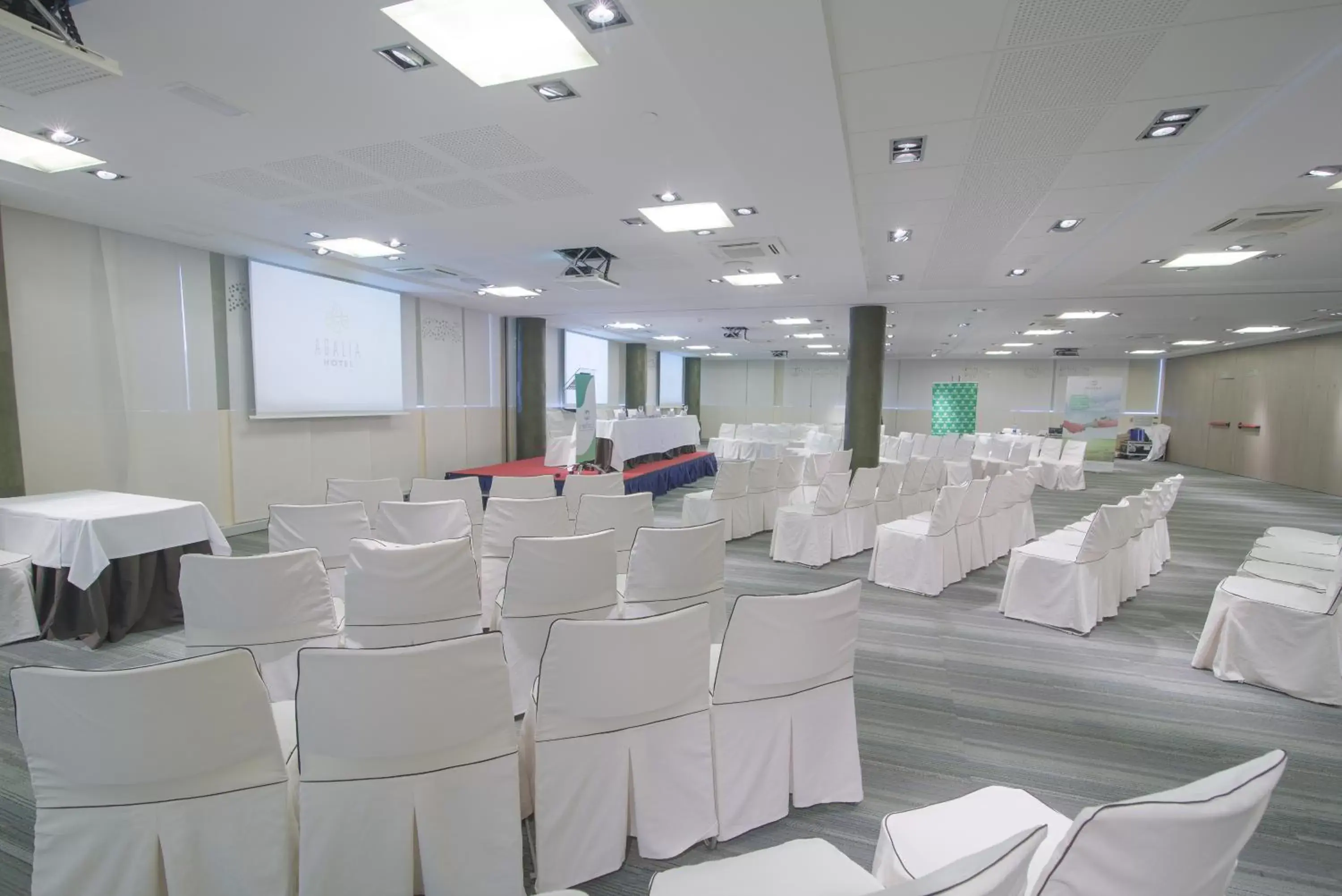 Meeting/conference room in Occidental Murcia Agalia