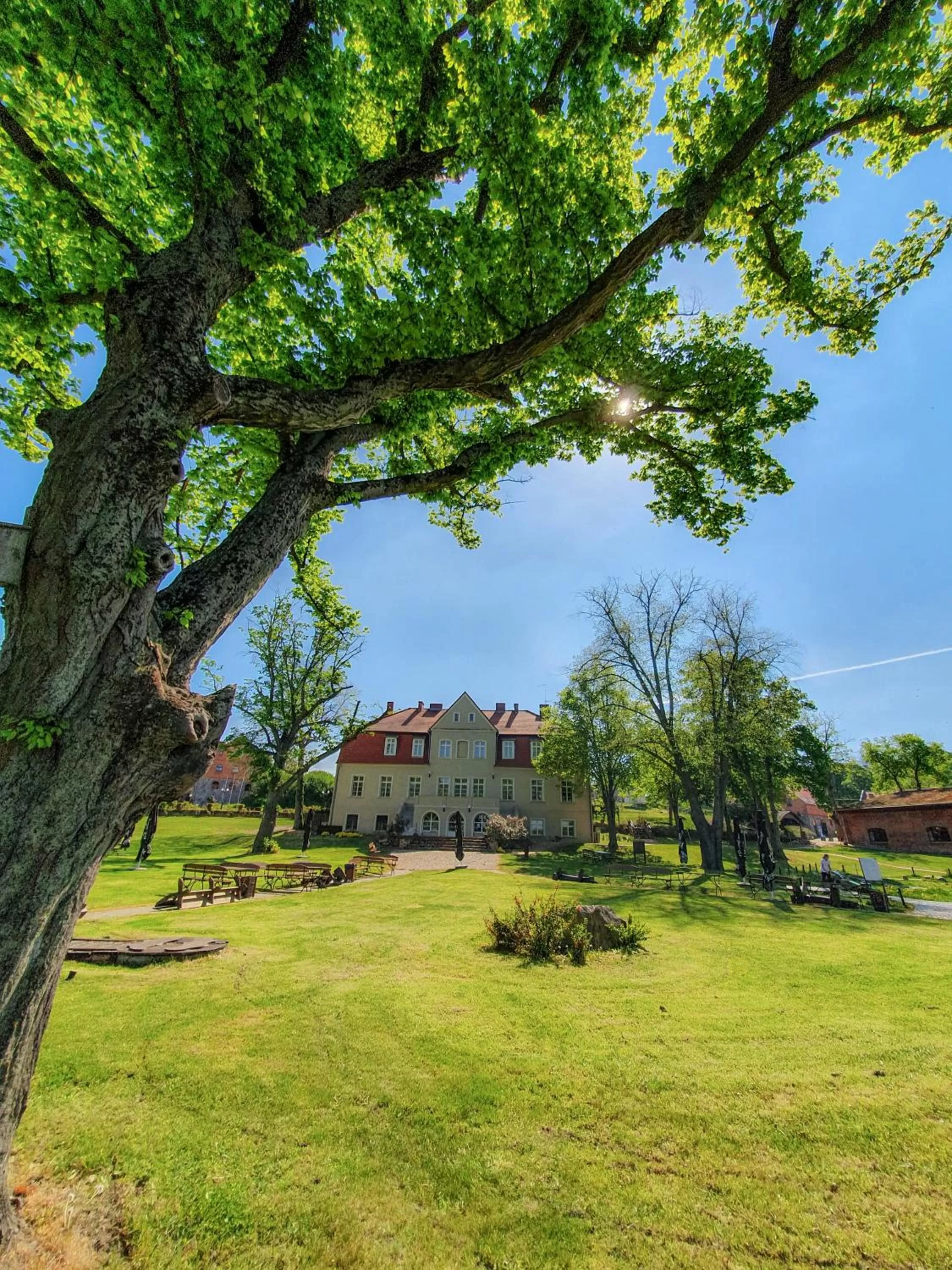 Windsurfing in Olandia