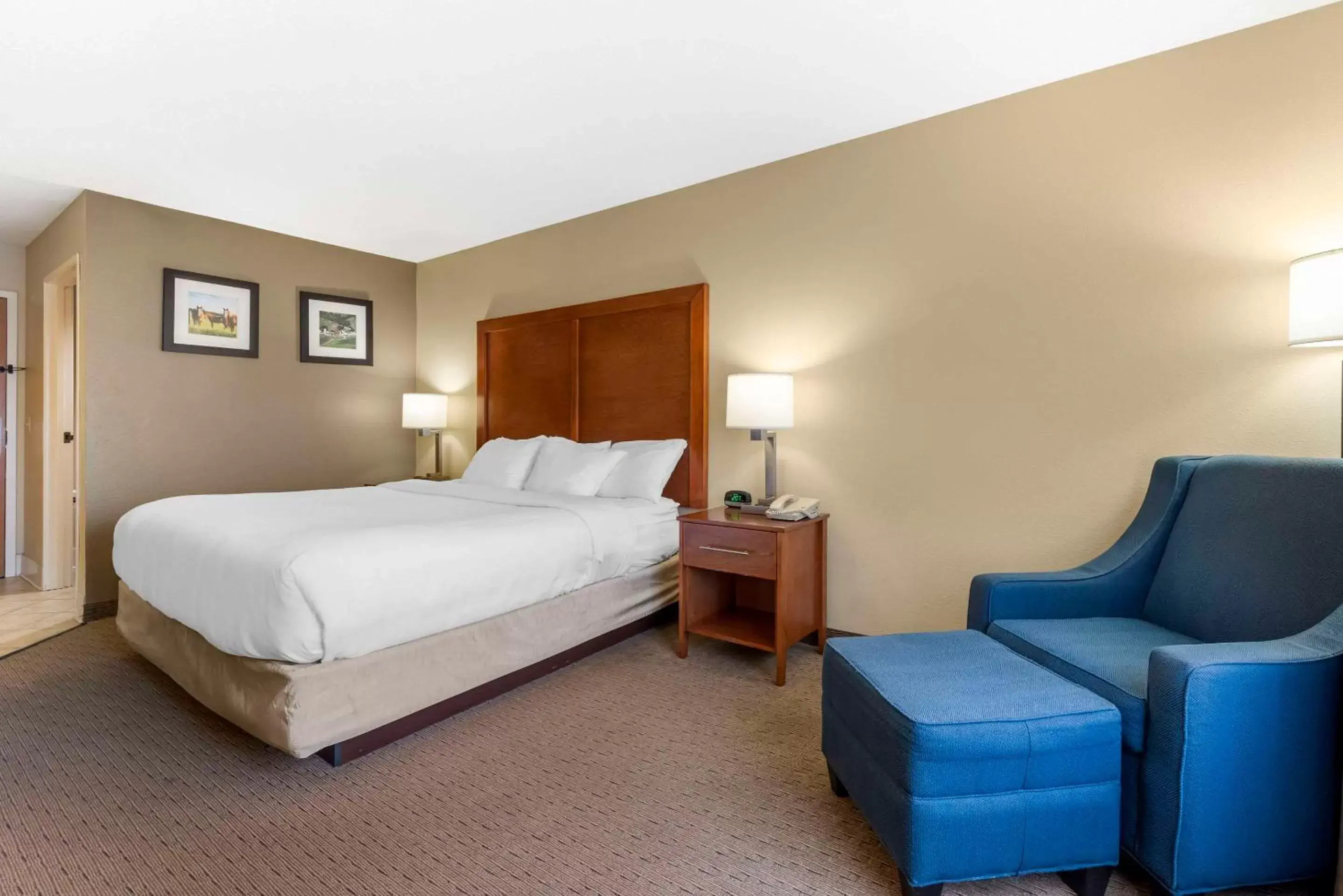Bedroom in Comfort Inn & Suites Black River Falls I-94