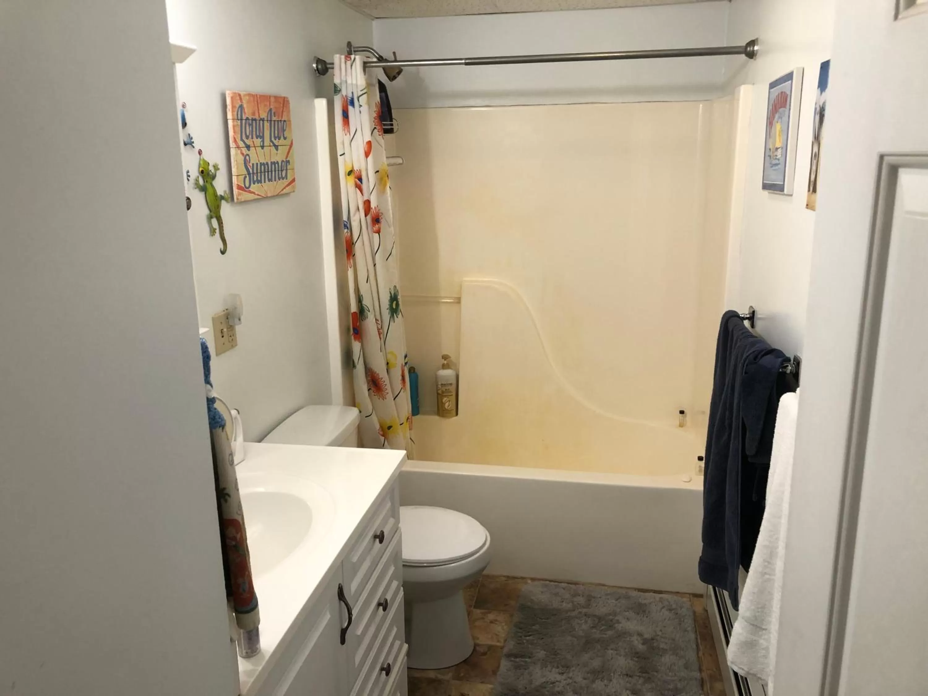 Shower in Copperville B & B