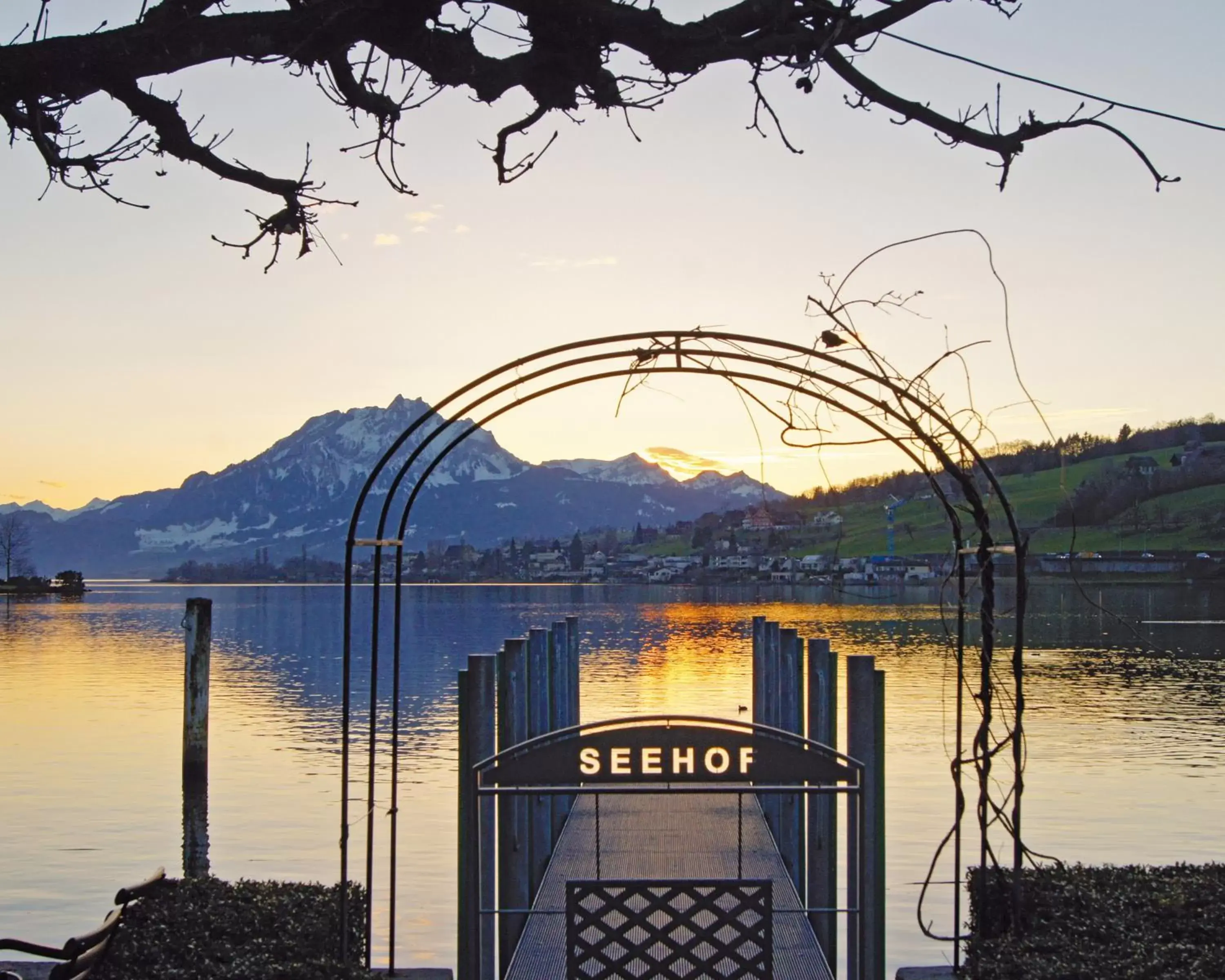 Lake view in Hotel Restaurant Seehof