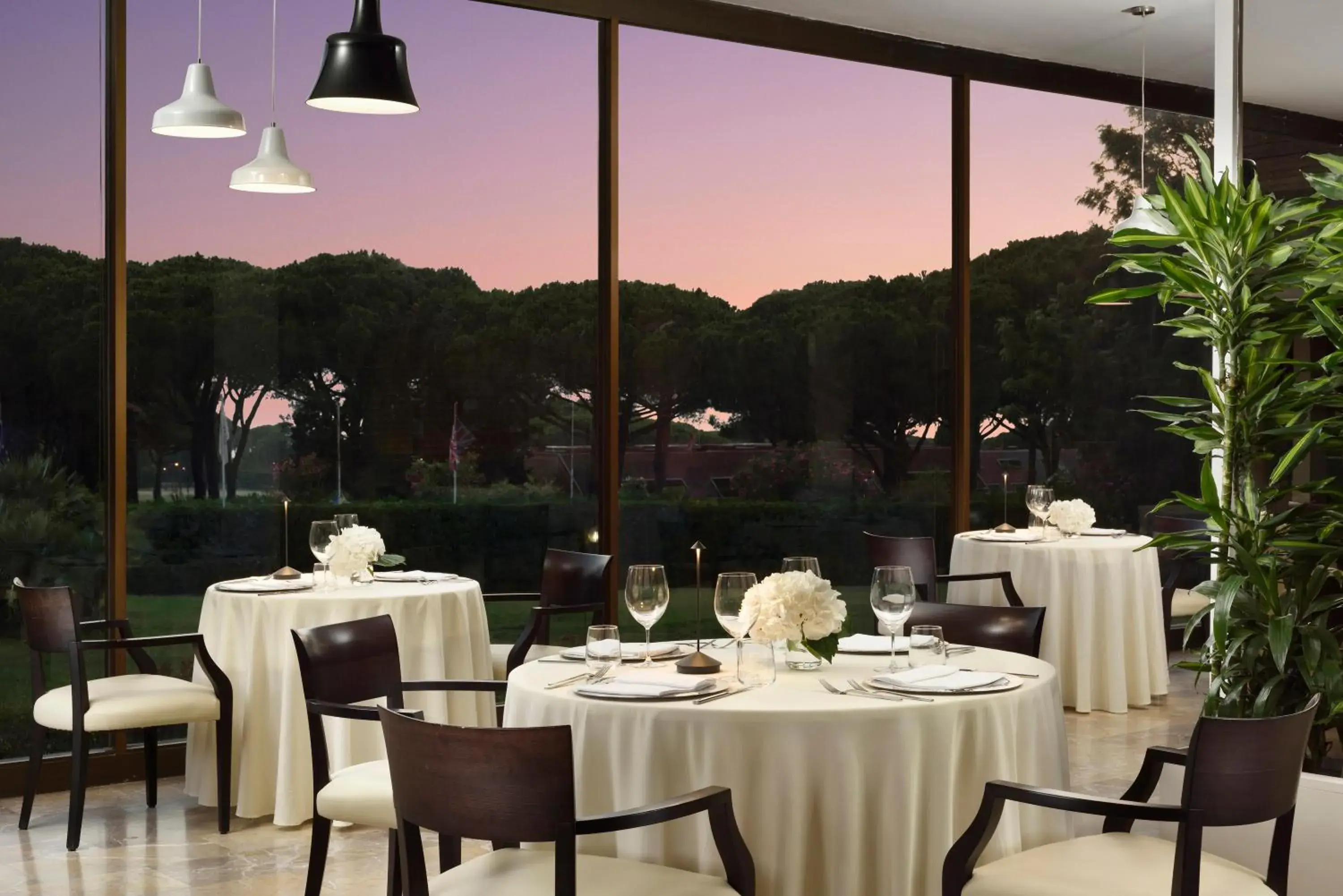 Restaurant/Places to Eat in Golf Hotel Punta Ala