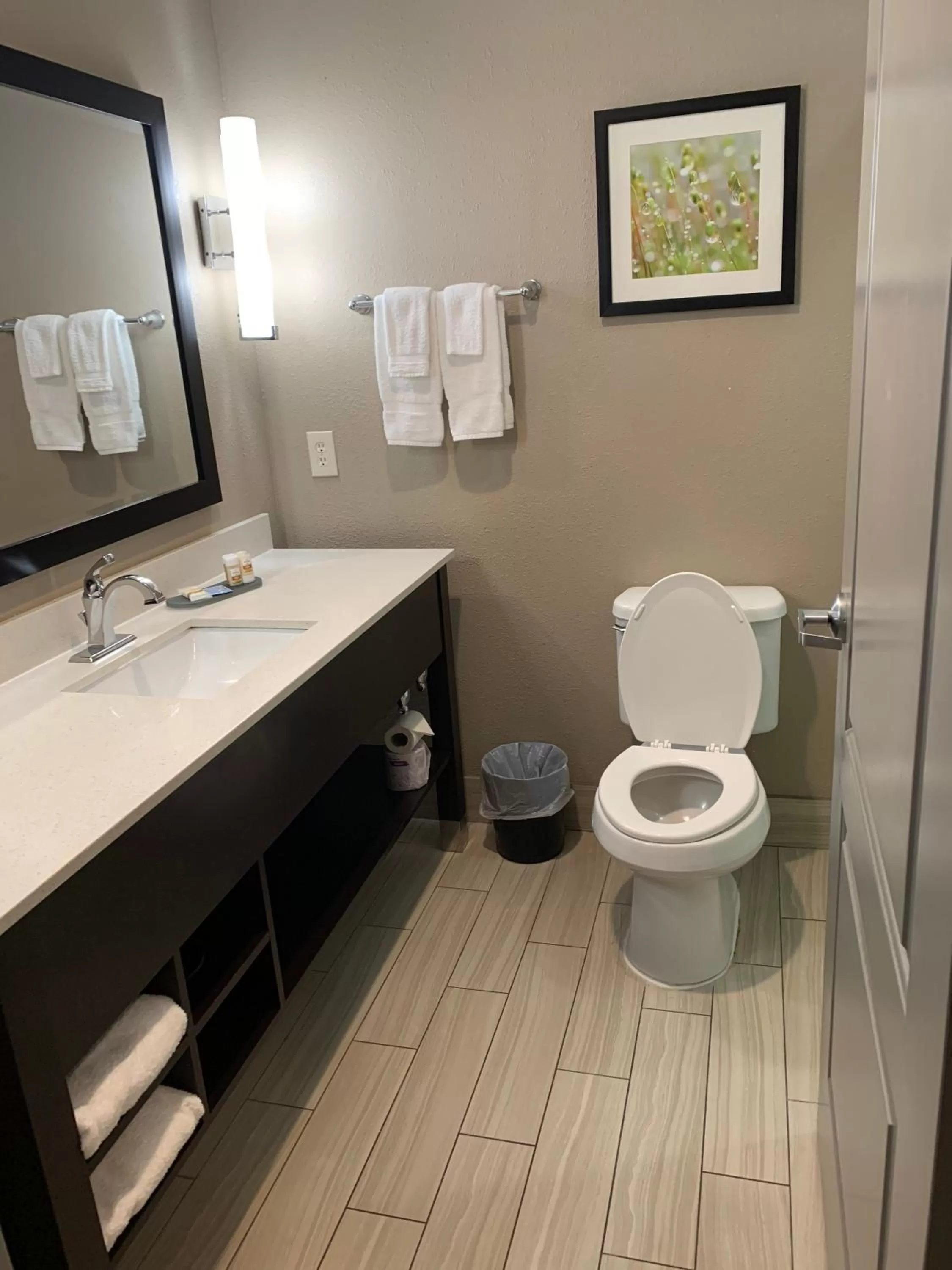 Bathroom in La Quinta by Wyndham Hattiesburg - I-59