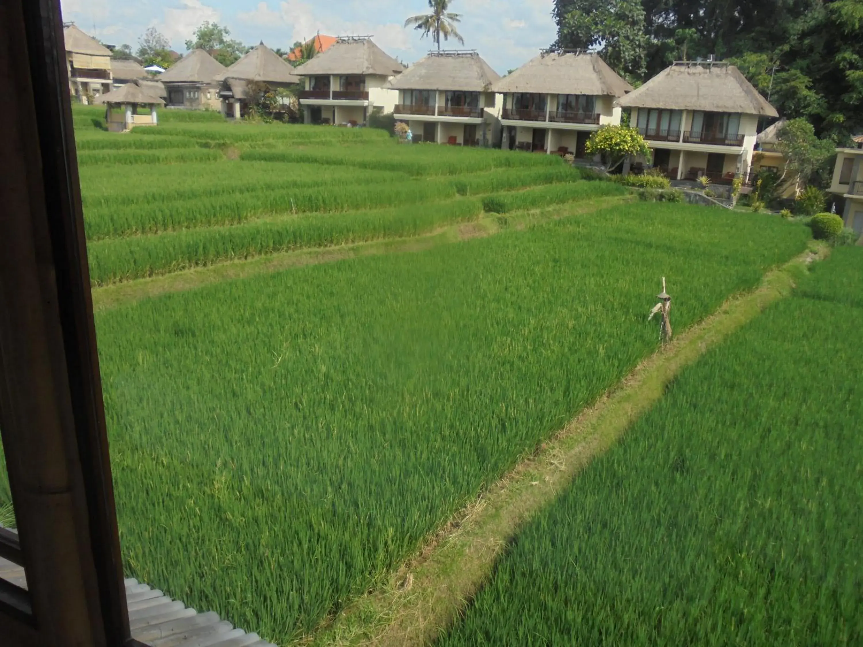 View (from property/room) in Biyukukung Suite & Spa
