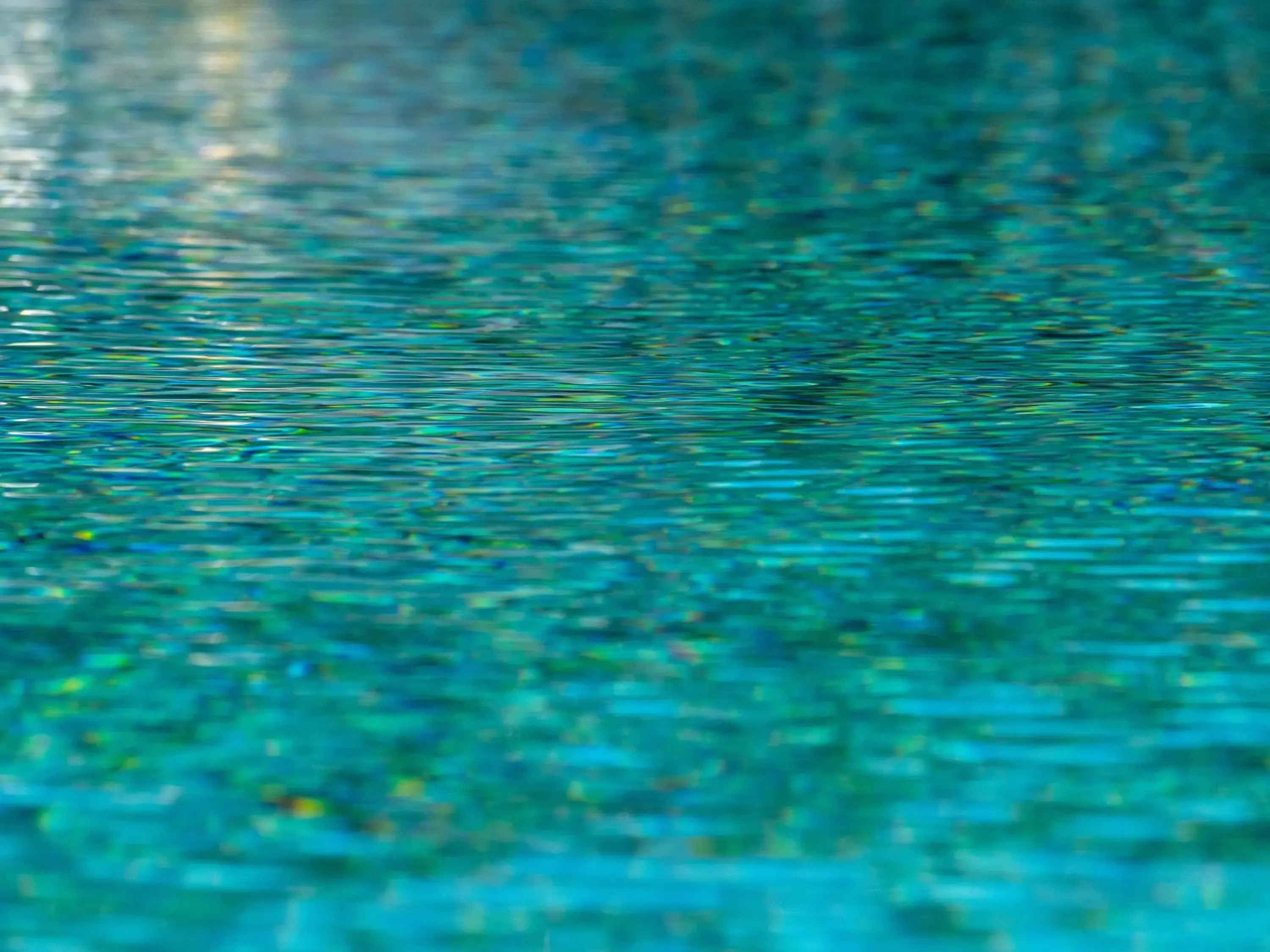 Swimming pool, Other Animals in Residence Garni Hotel Vineus