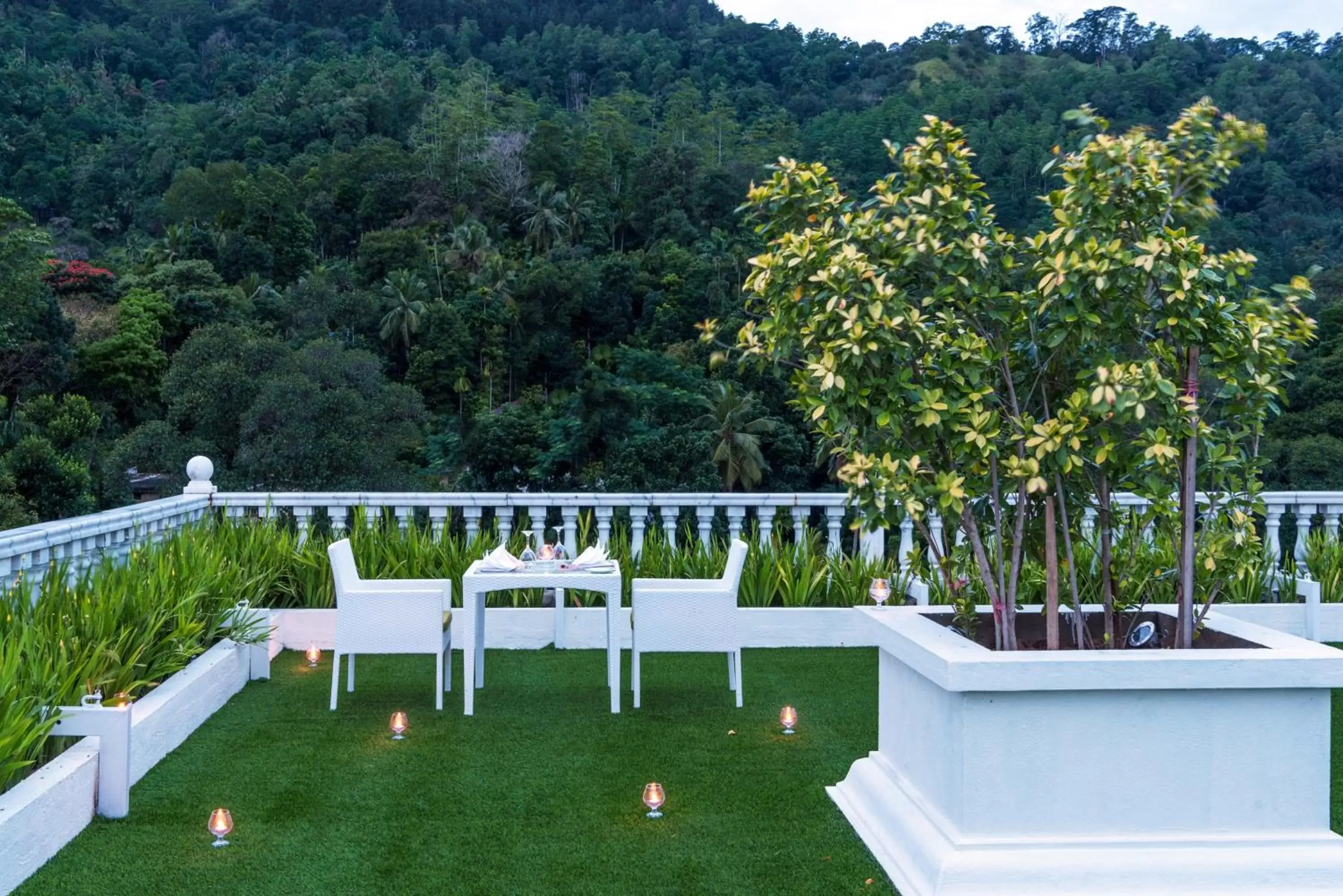 Garden in The Golden Crown Hotel