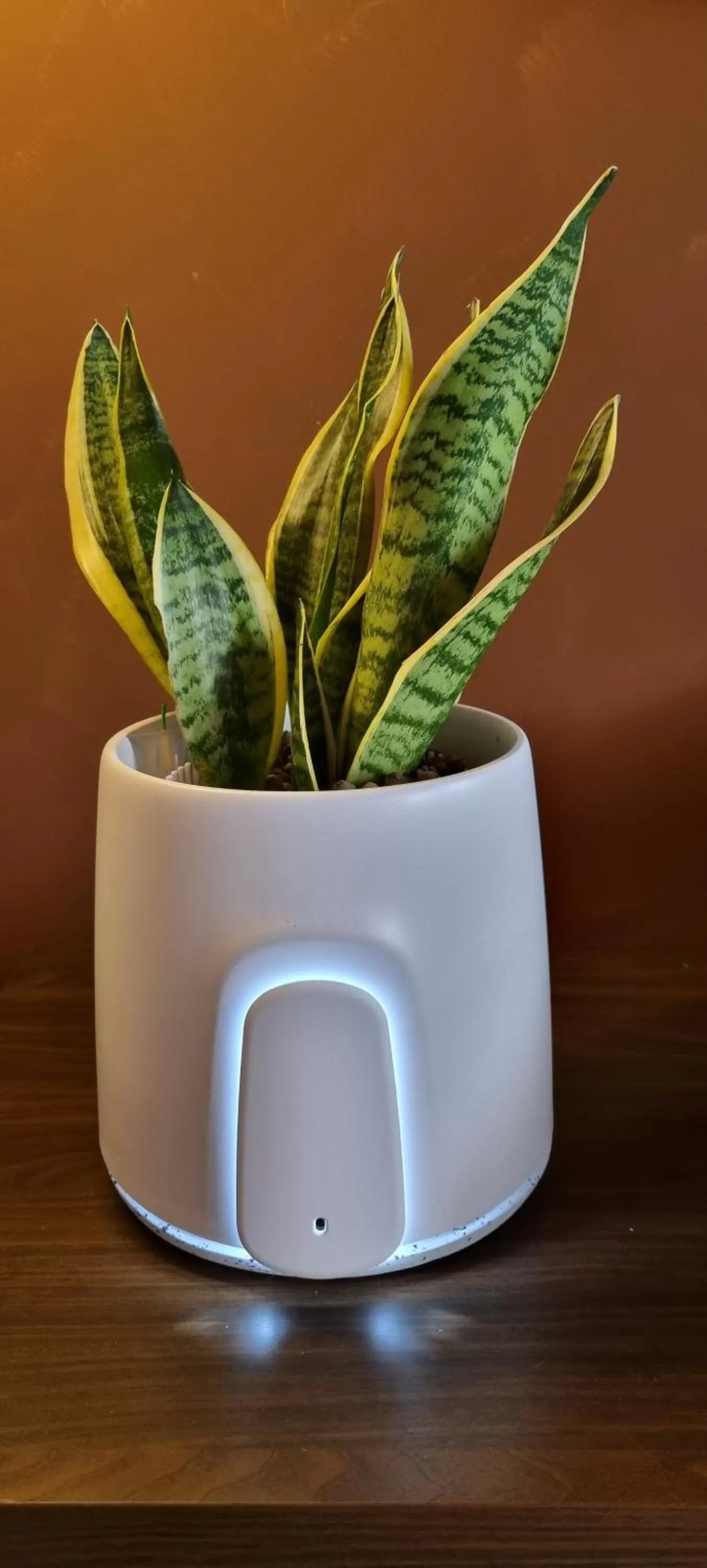 UNAHOTELS Eco Hotel Villa Costanza Venezia