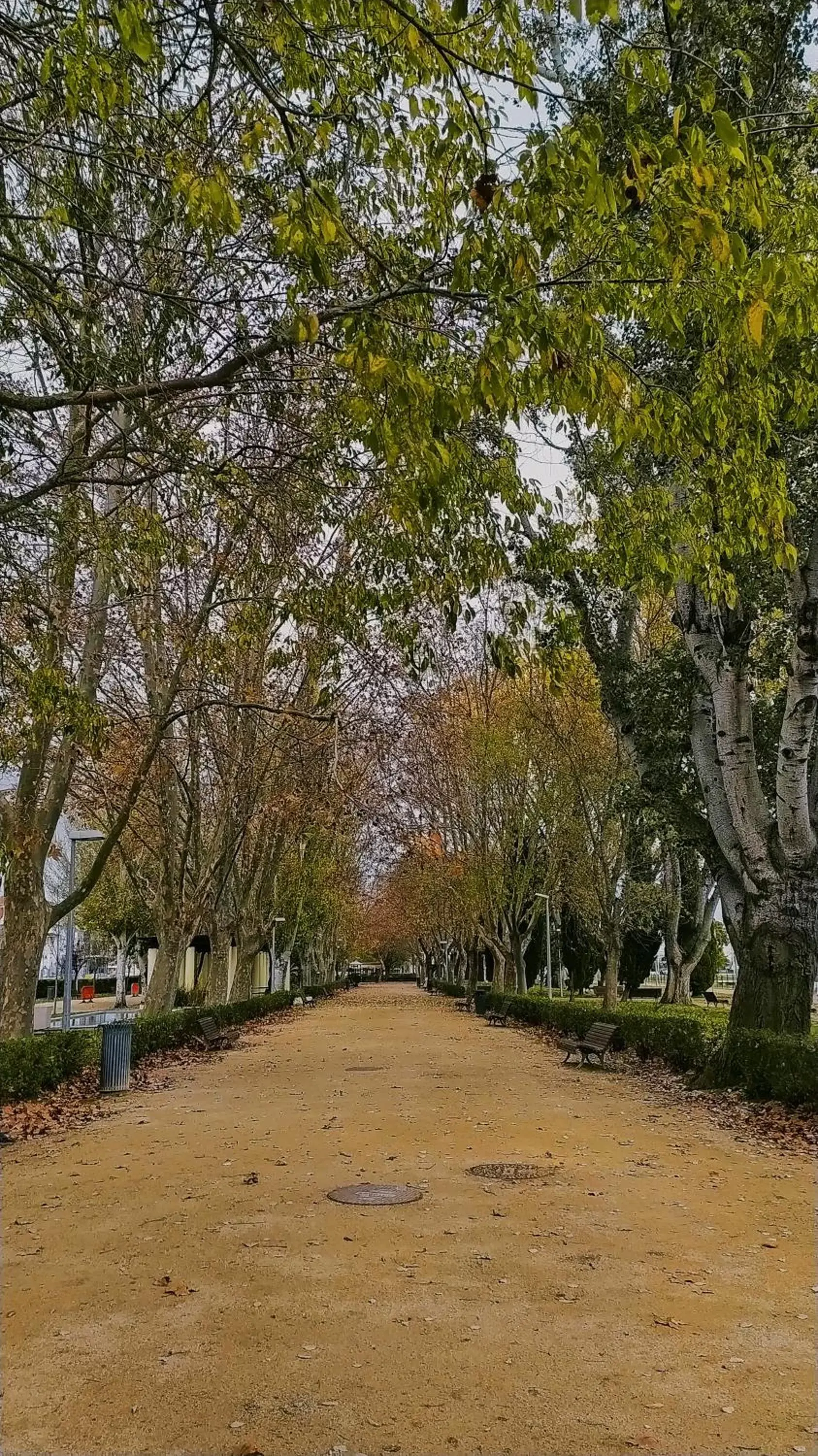 Other in Leziria Parque Hotel