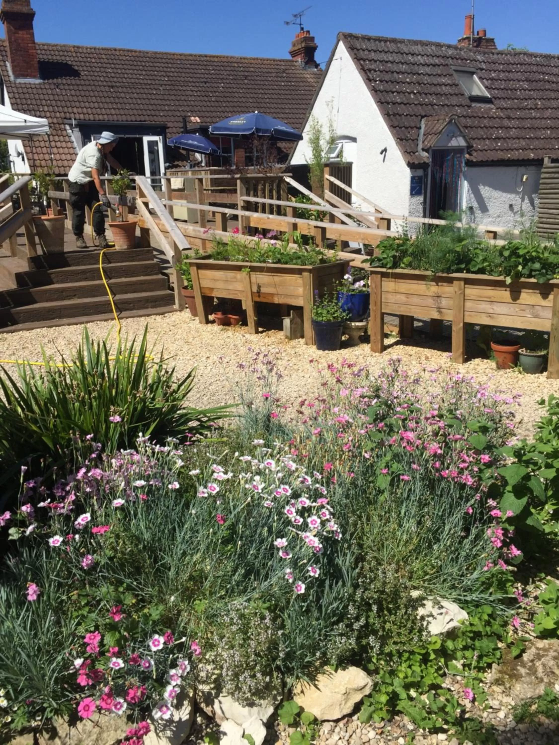 Garden view in Helen Browning's Royal Oak