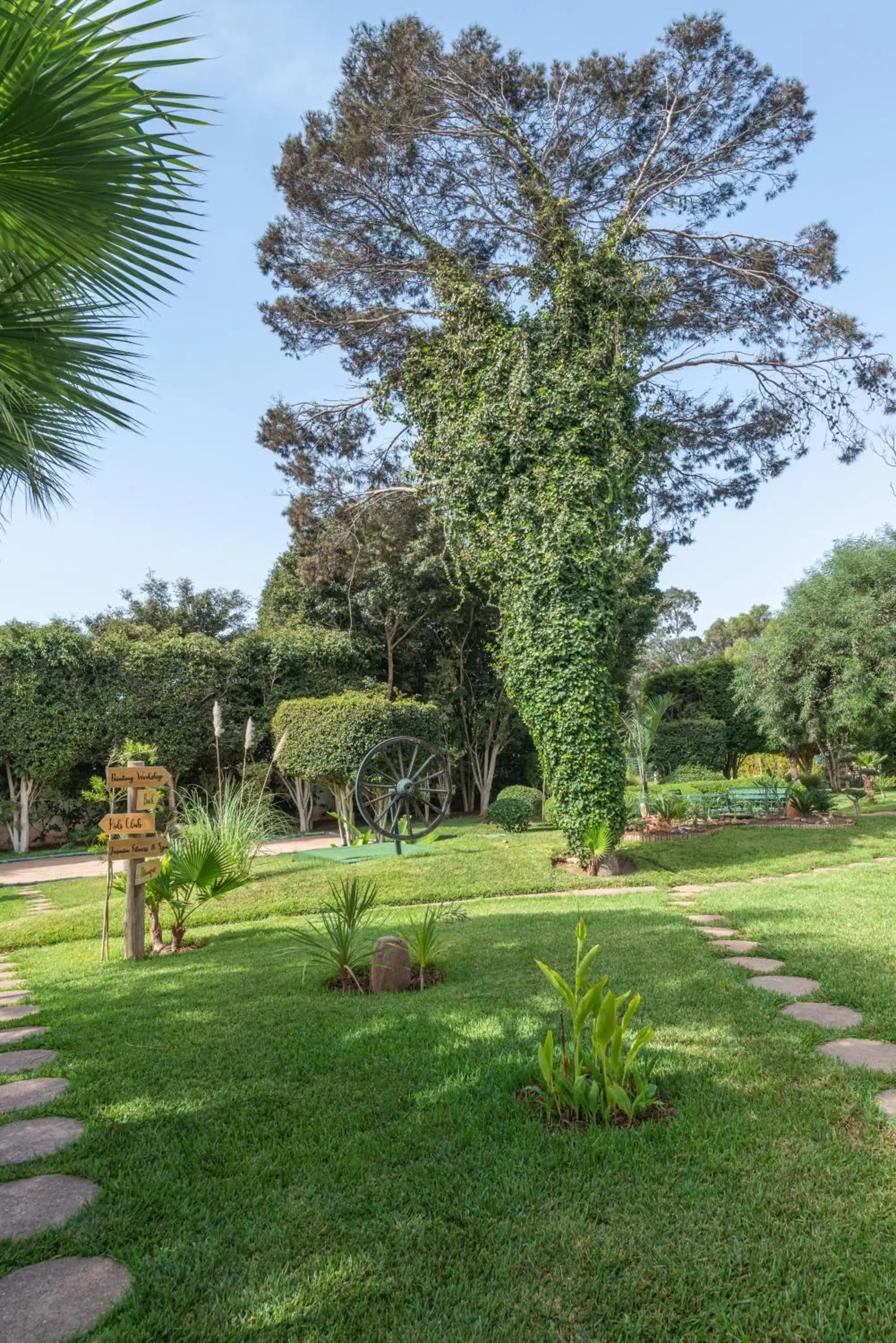 Garden in Odyssee Park Hotel