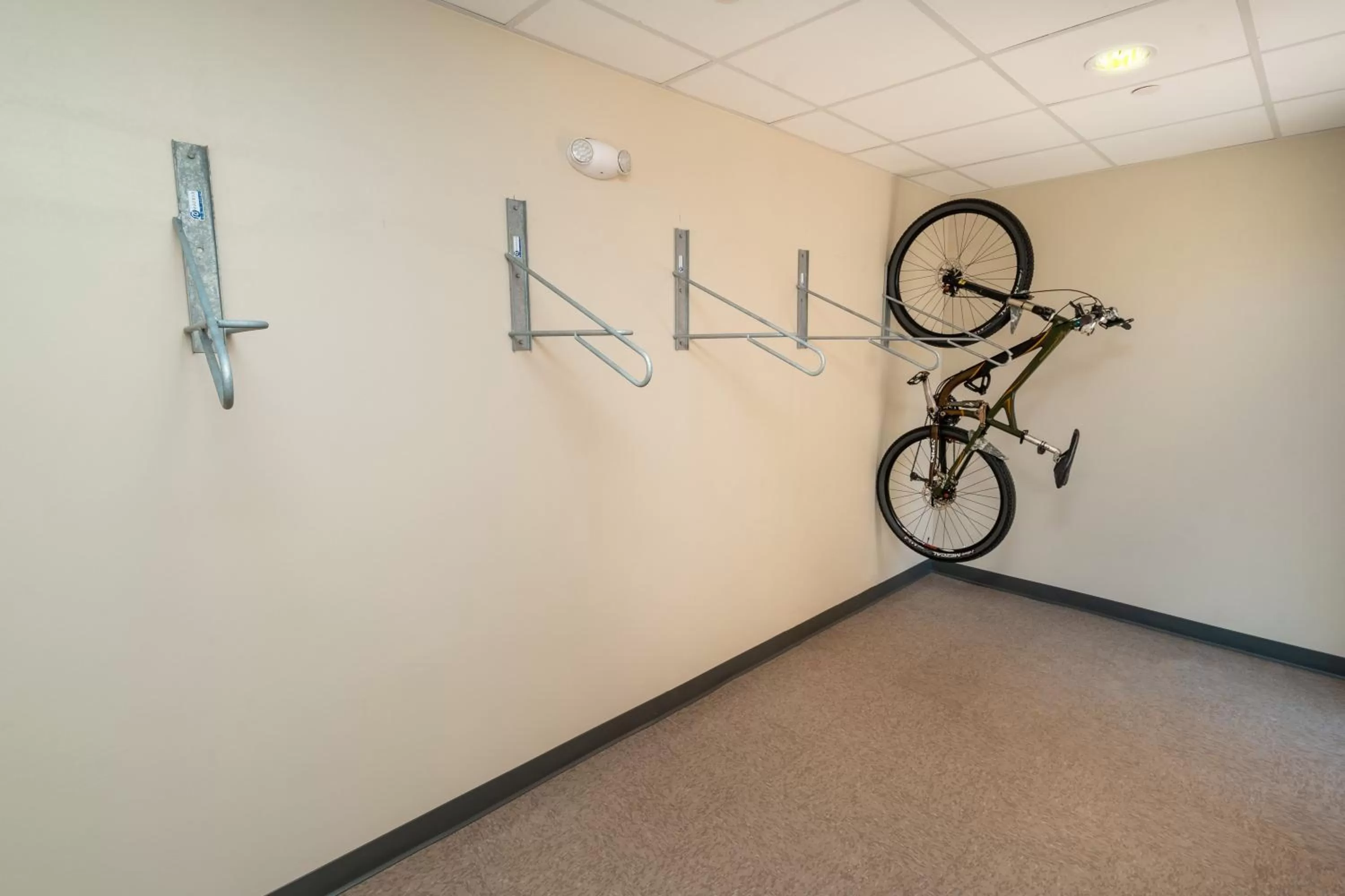 Lobby or reception in Staybridge Suites - Newark - Fremont by IHG