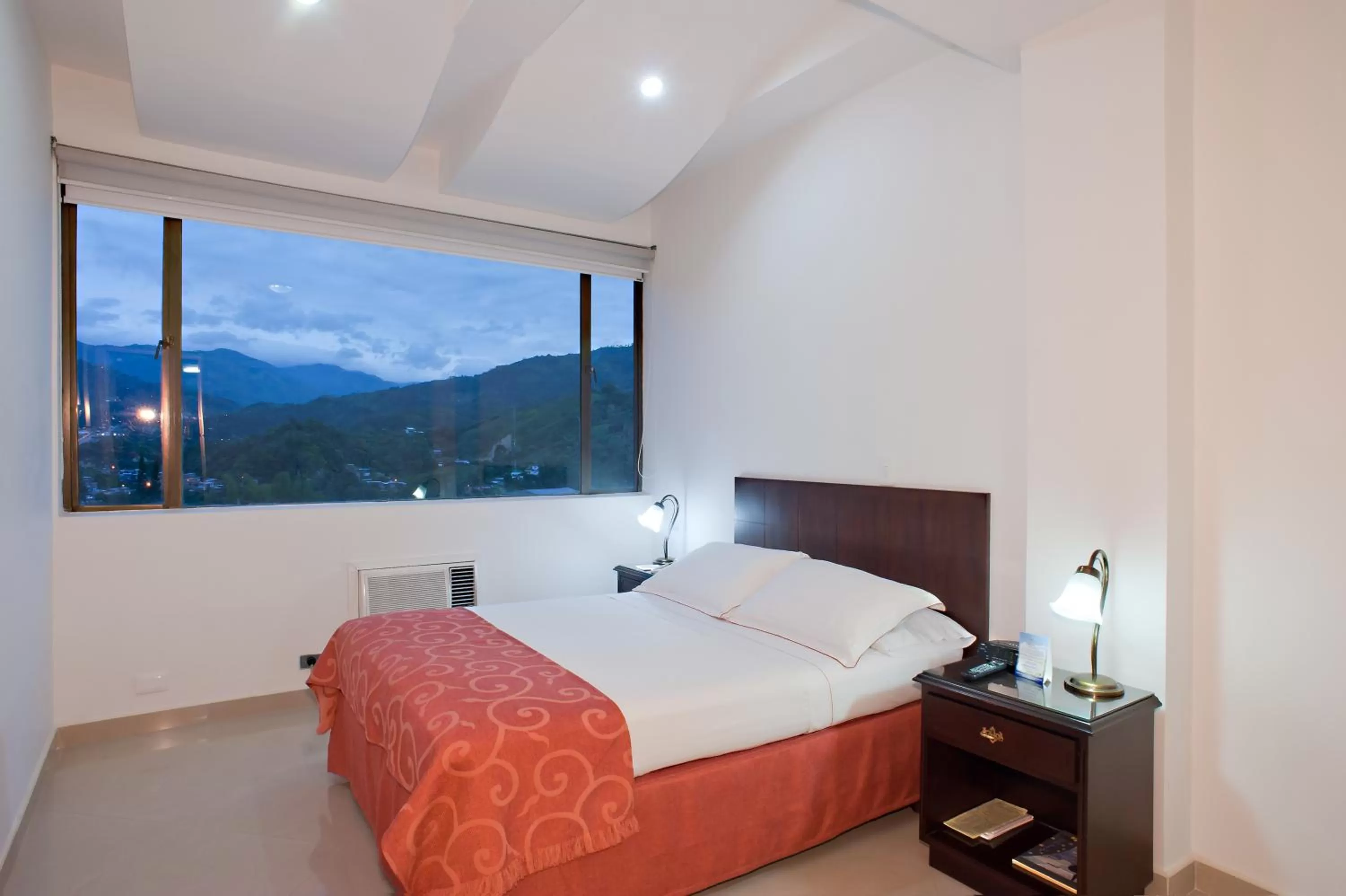 Bed in Hotel Dann Combeima