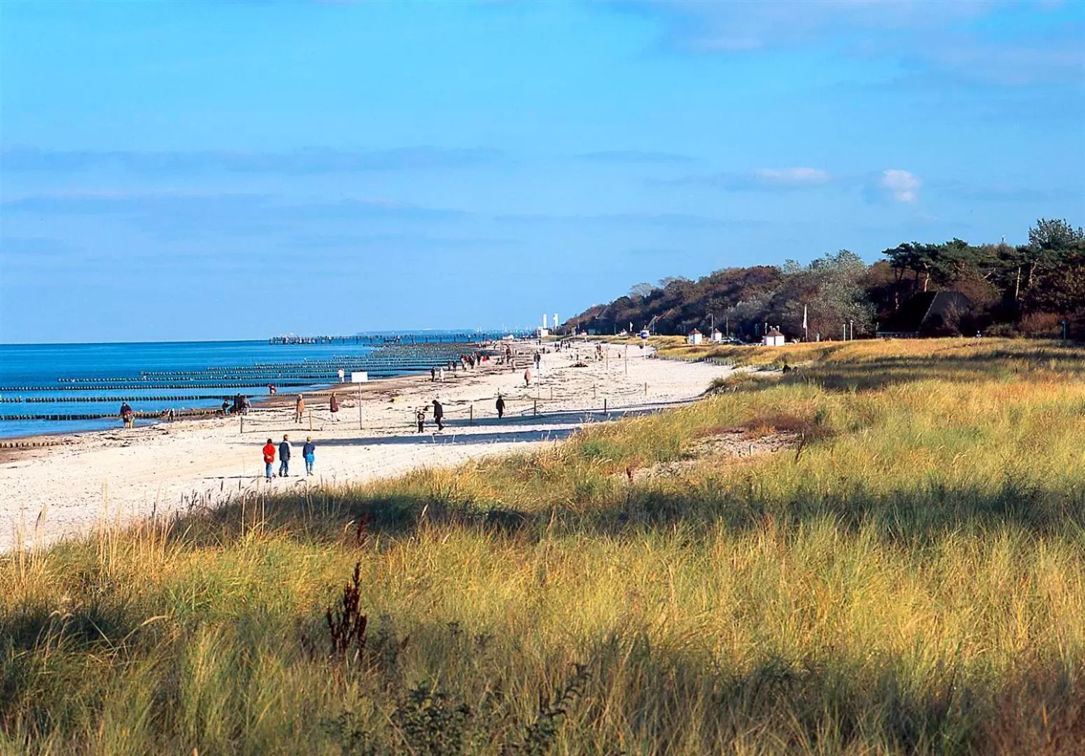 Area and facilities in Am Weststrand Aparthotel Kühlungsborn