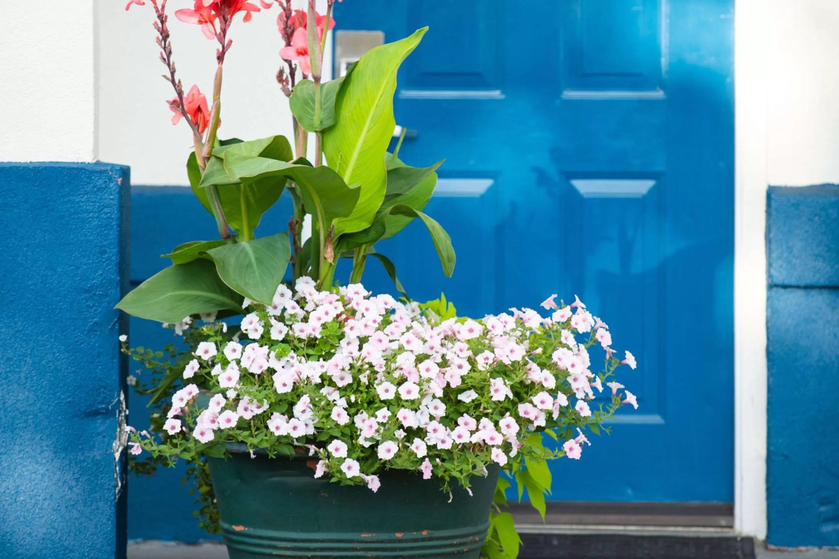 Property building in Rodeway Inn Middletown - Newport