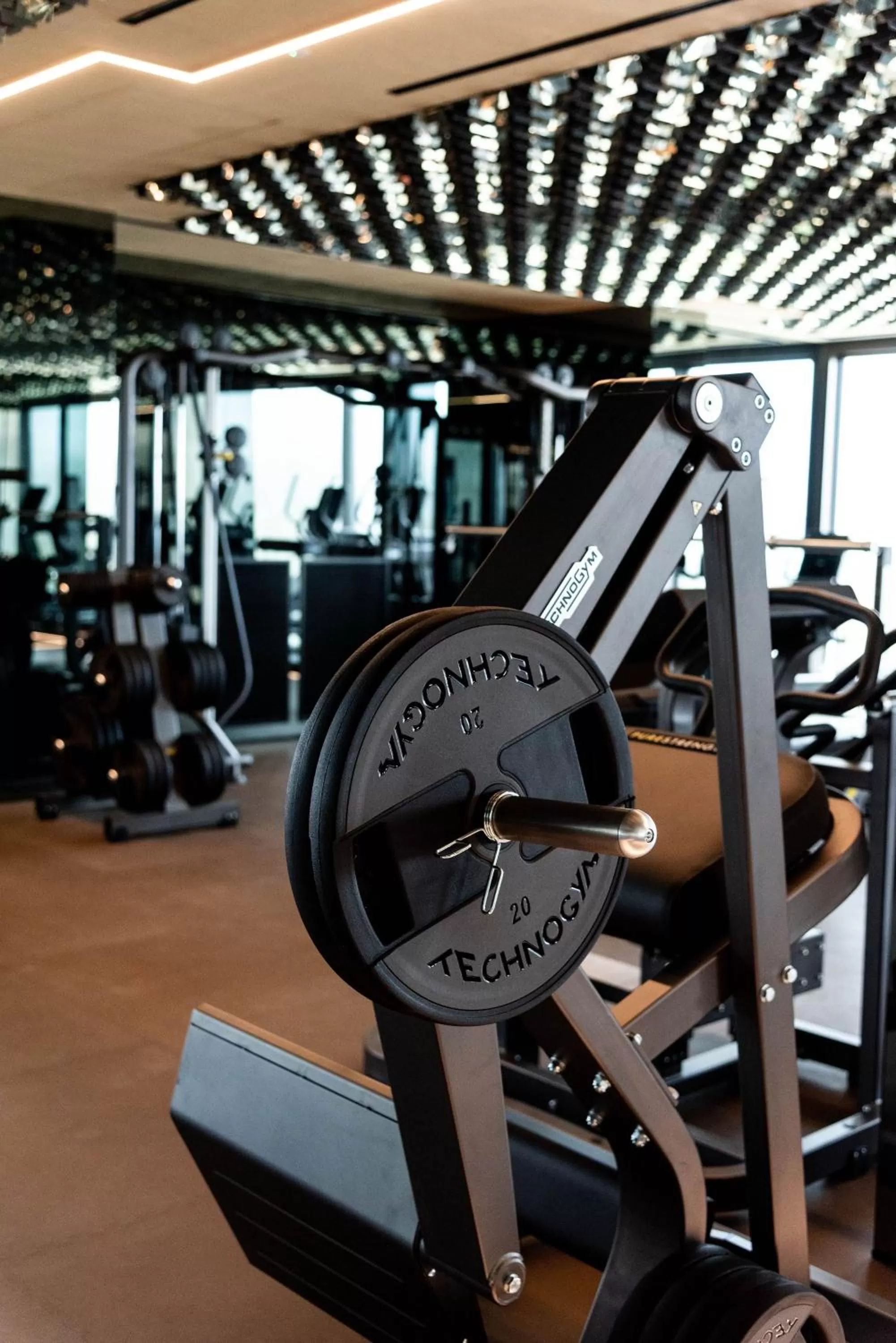 Fitness centre/facilities in The Promenade Luxury Wellness Hotel
