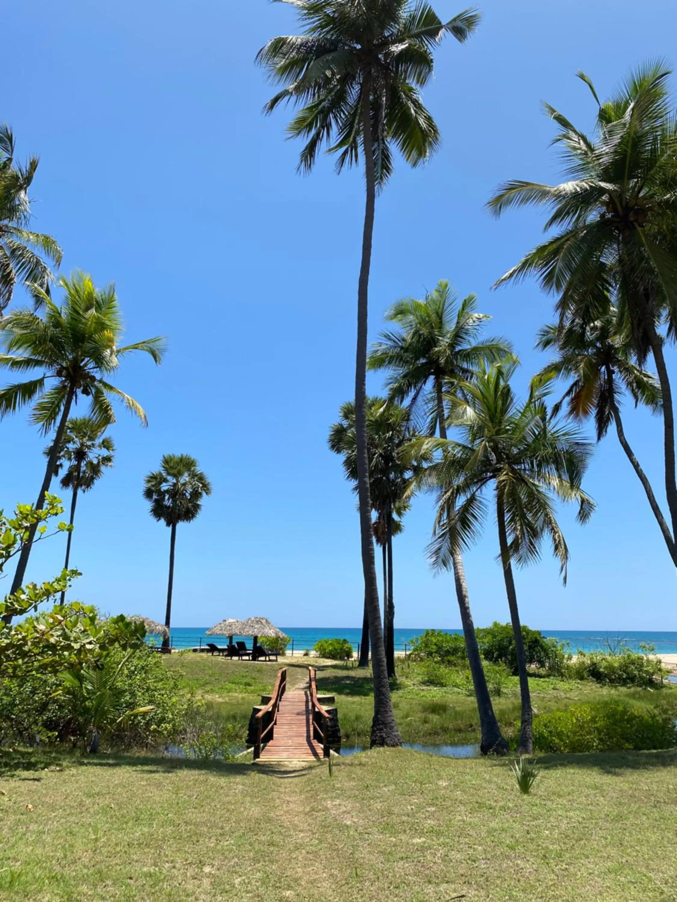 Garden in 108 Palms Beach Resort