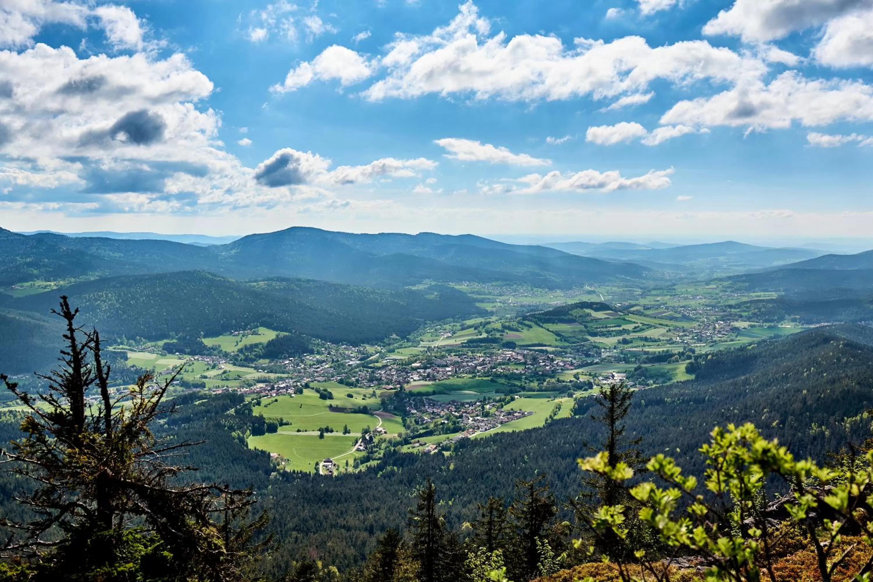 Hiking in Wander und Aktiv Hotel Rösslwirt