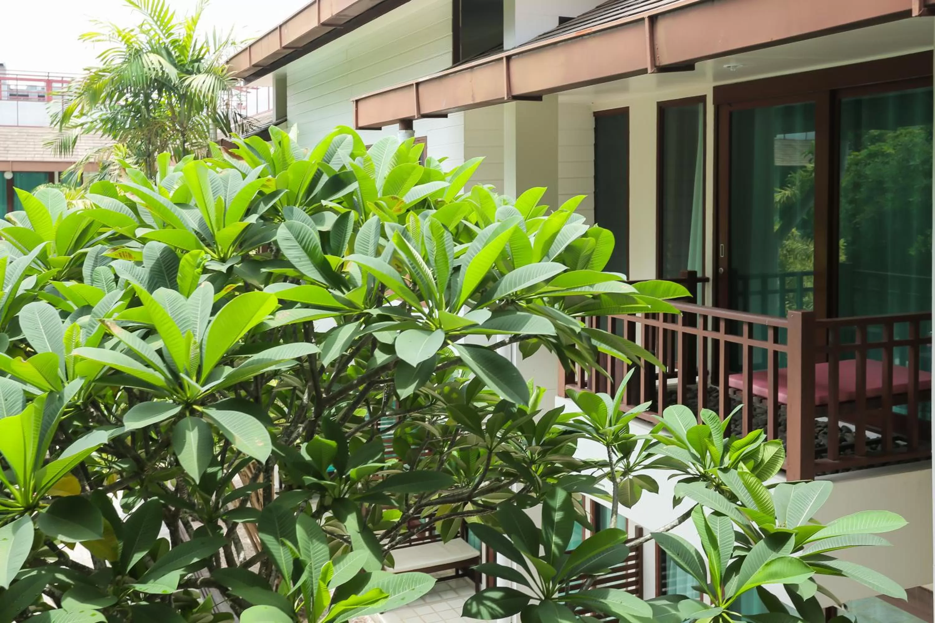 Property building in The Mantrini Chiang Rai