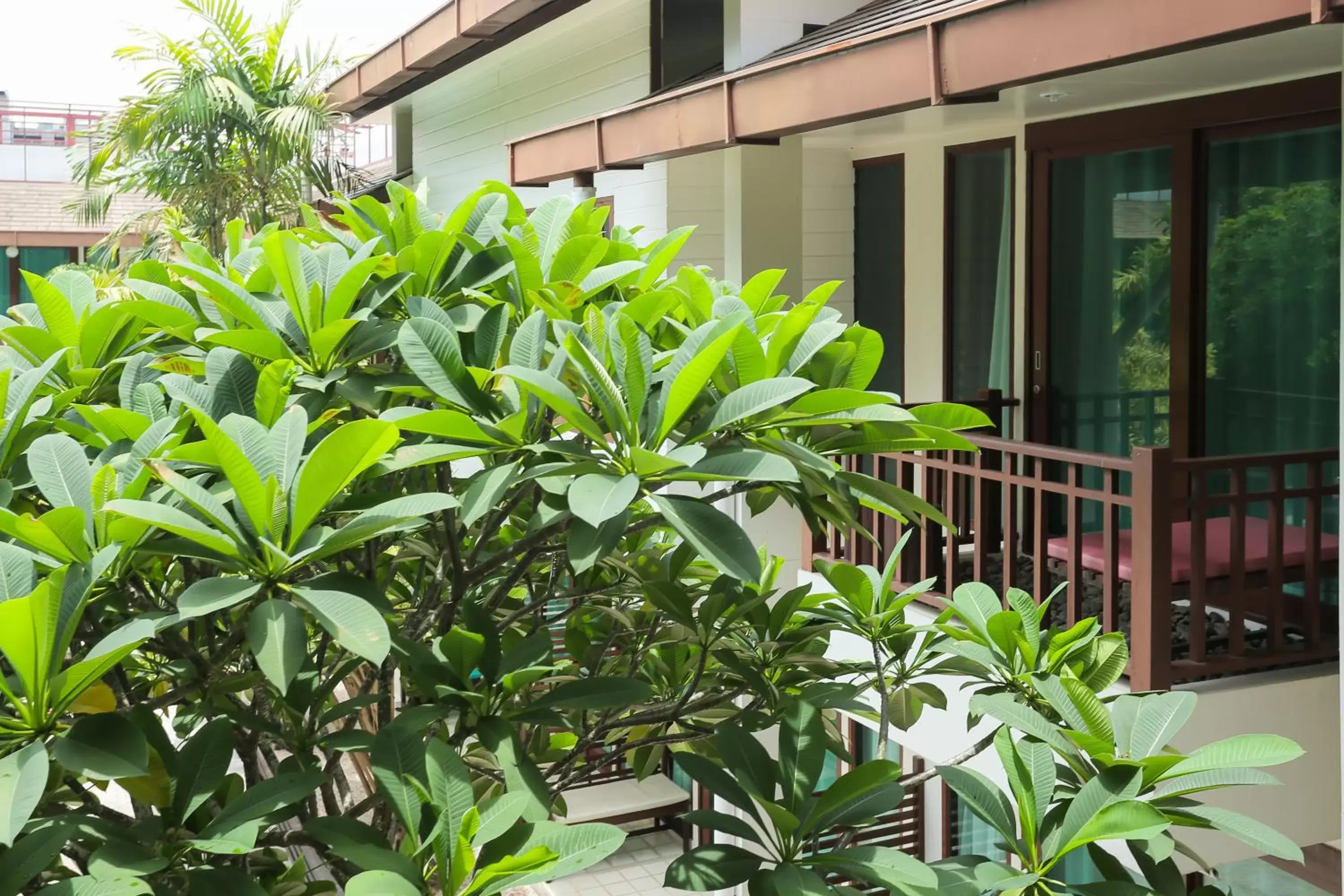 Property building in The Mantrini Chiang Rai Property building in The Mantrini Chiang Rai