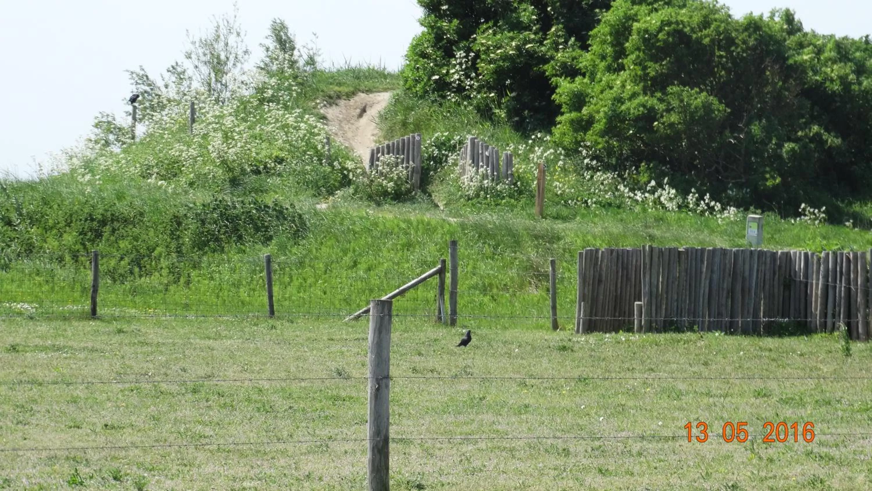 Day, Garden in Beach Hotel Oostvoorne