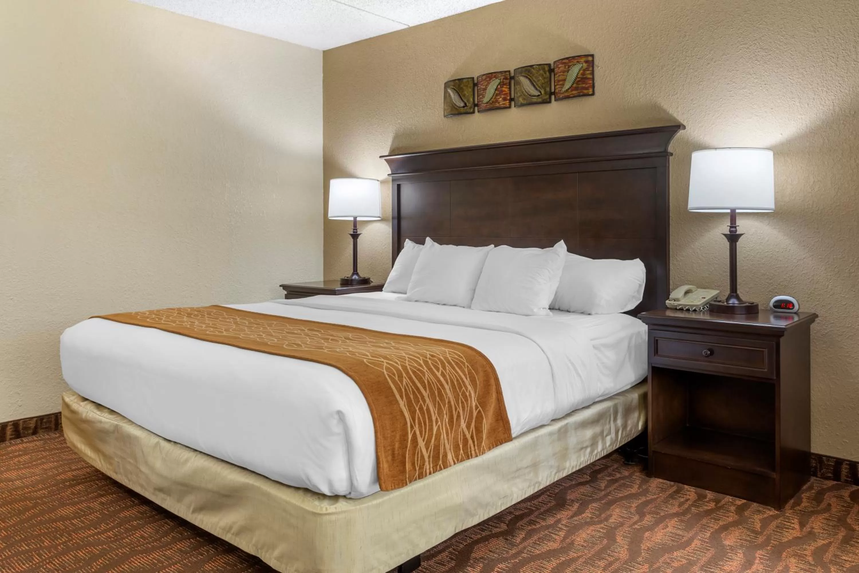 King Room with Roll-In Shower - Accessible/Non-Smoking in Comfort Inn at Thousand Hills