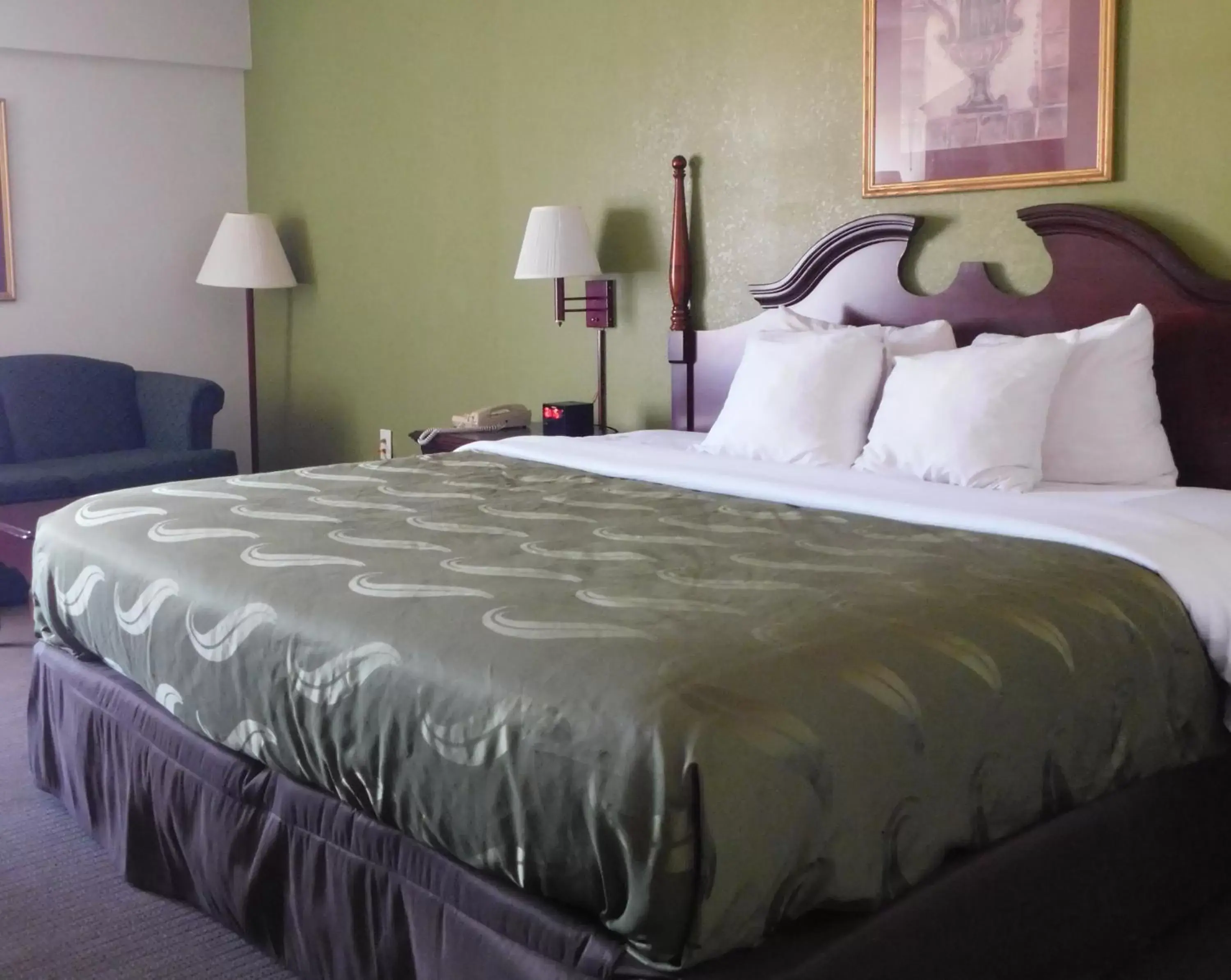 Bed in Quality Inn & Suites Thomasville