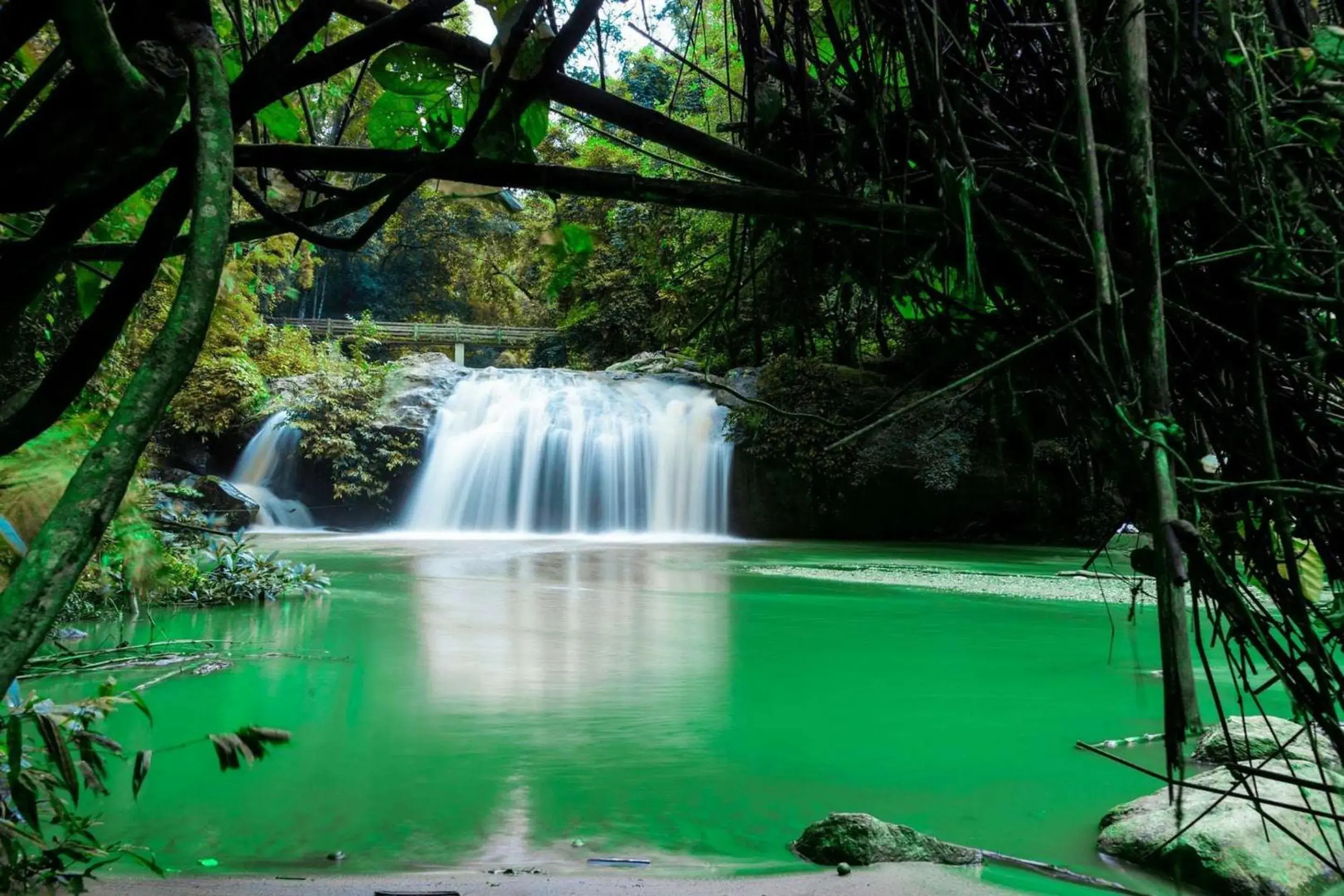Nearby landmark, Swimming Pool in Capital O 464 At Nata Chiangmai Chic Jungle