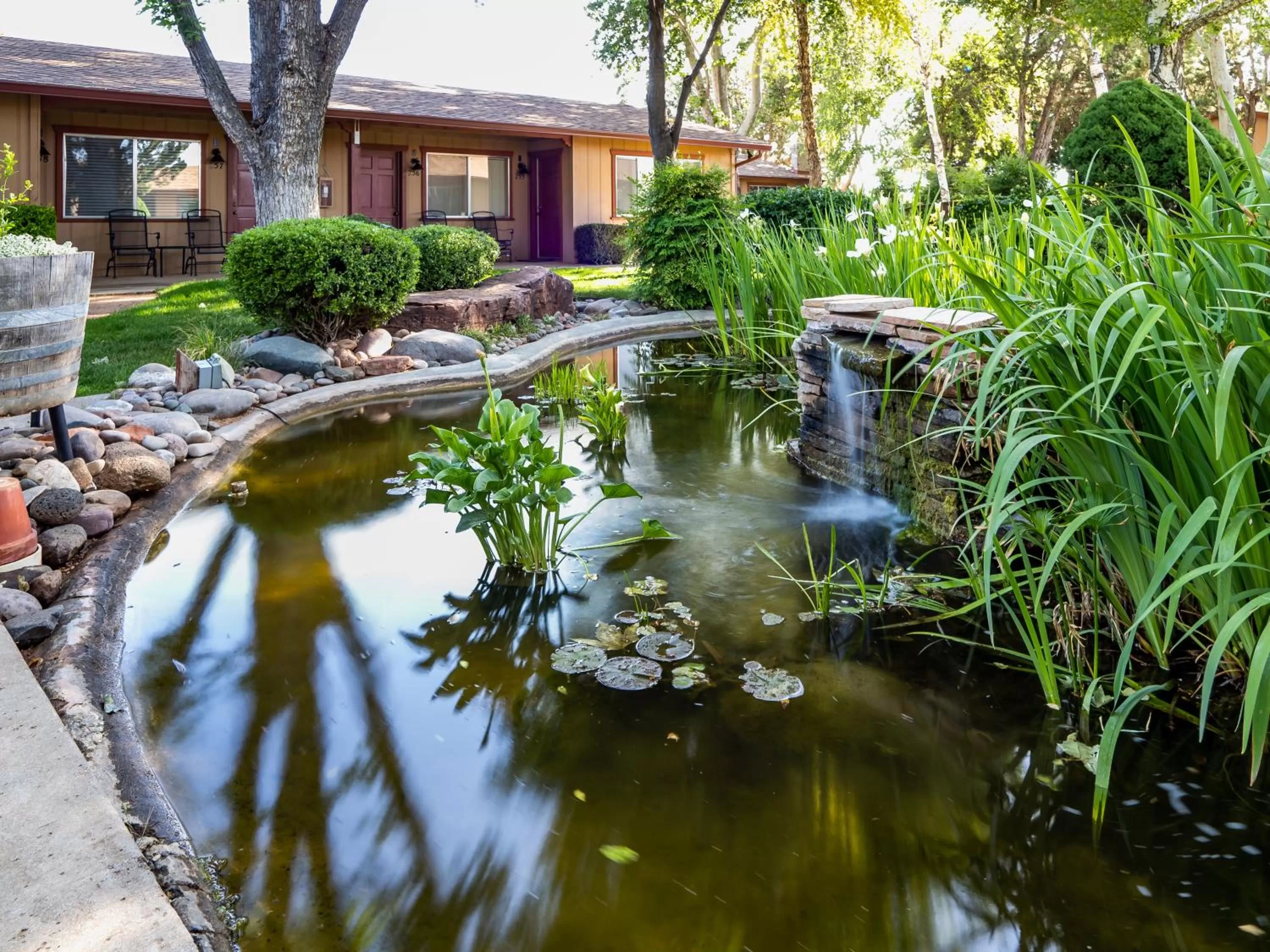 Natural landscape in Sky Ranch Lodge