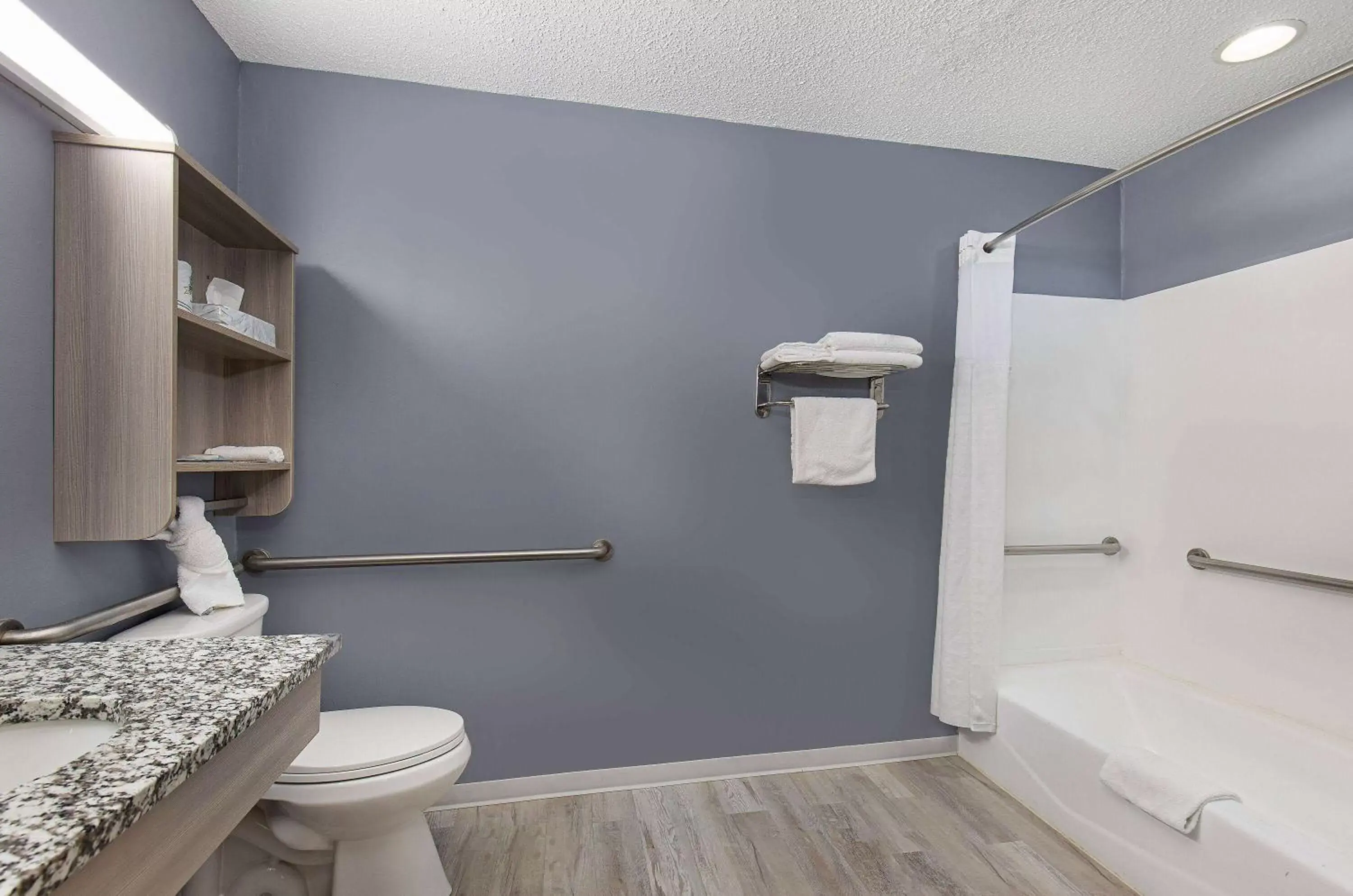 Bathroom in Microtel Inn & Suites by Wyndham Dry Ridge