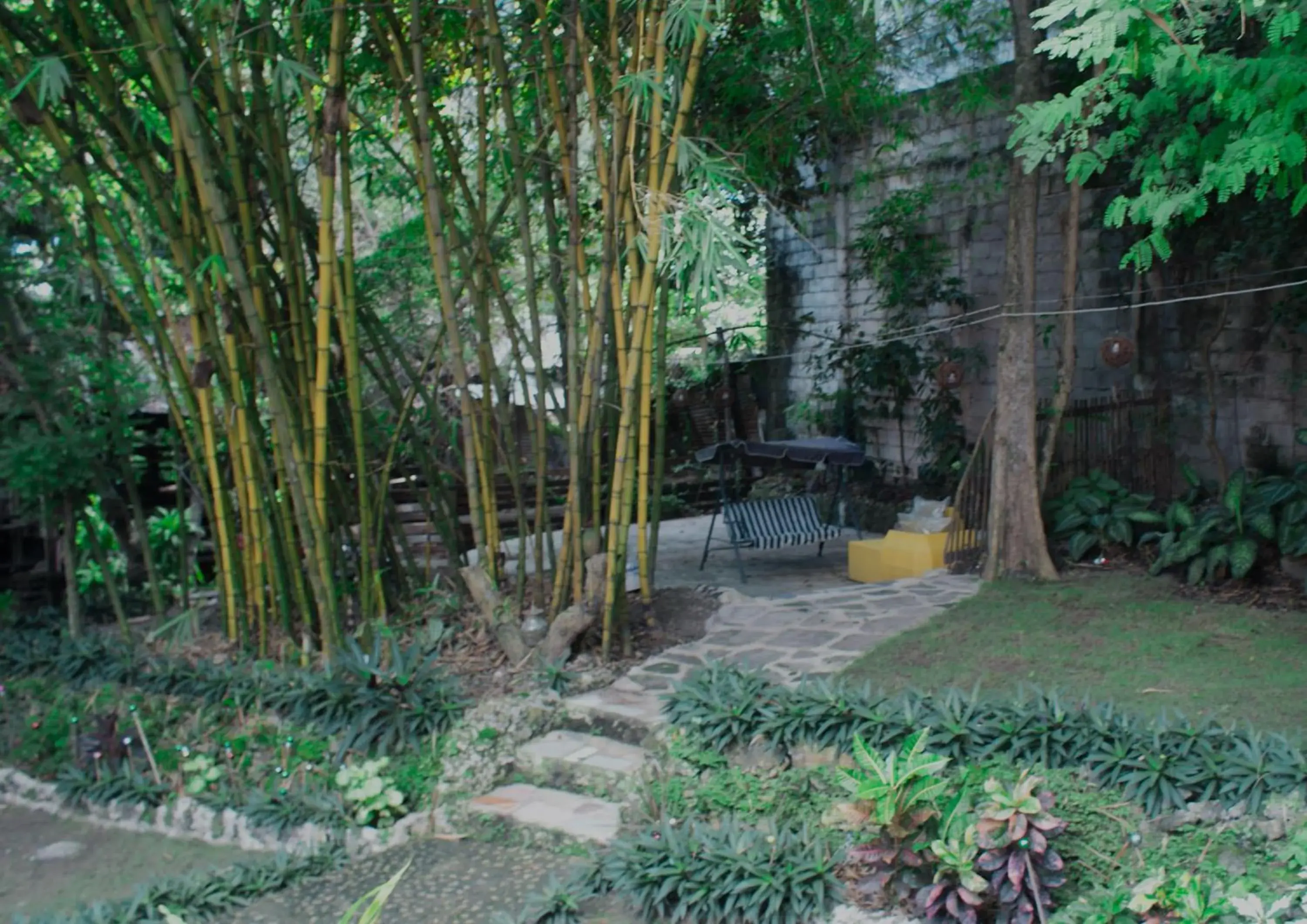 Garden in Oasis Balili Heritage Lodge
