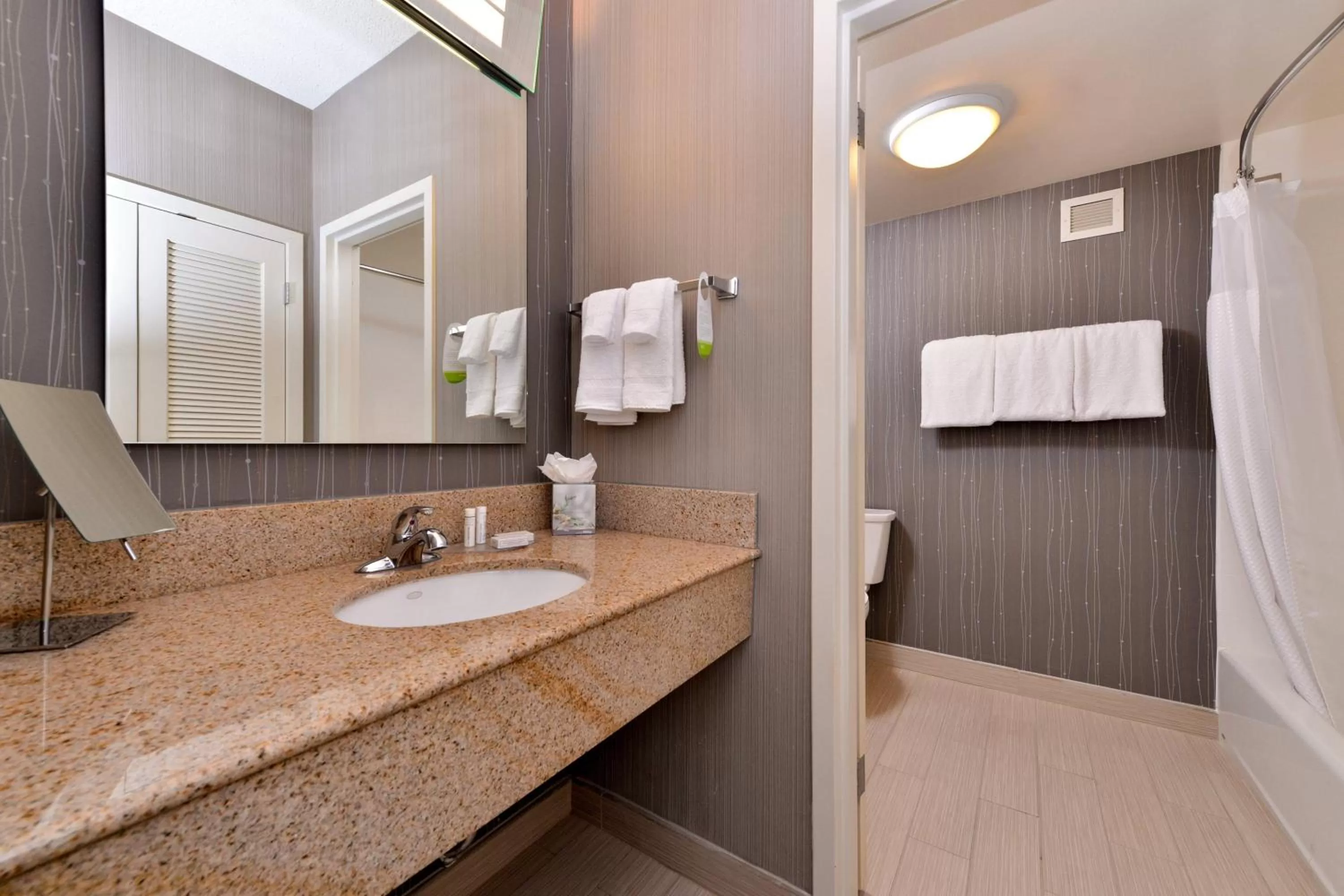 Bathroom in Courtyard by Marriott Dallas Northwest